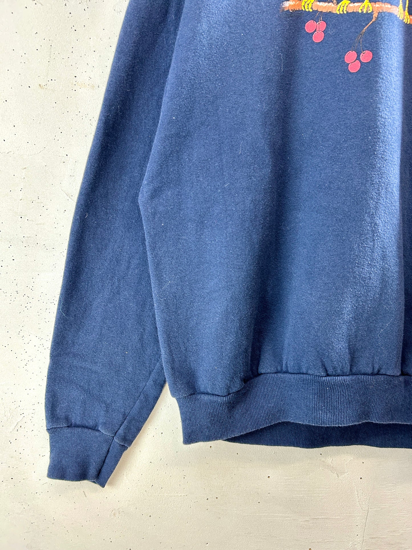 Vintage Sweat MADE IN USA [J30556]