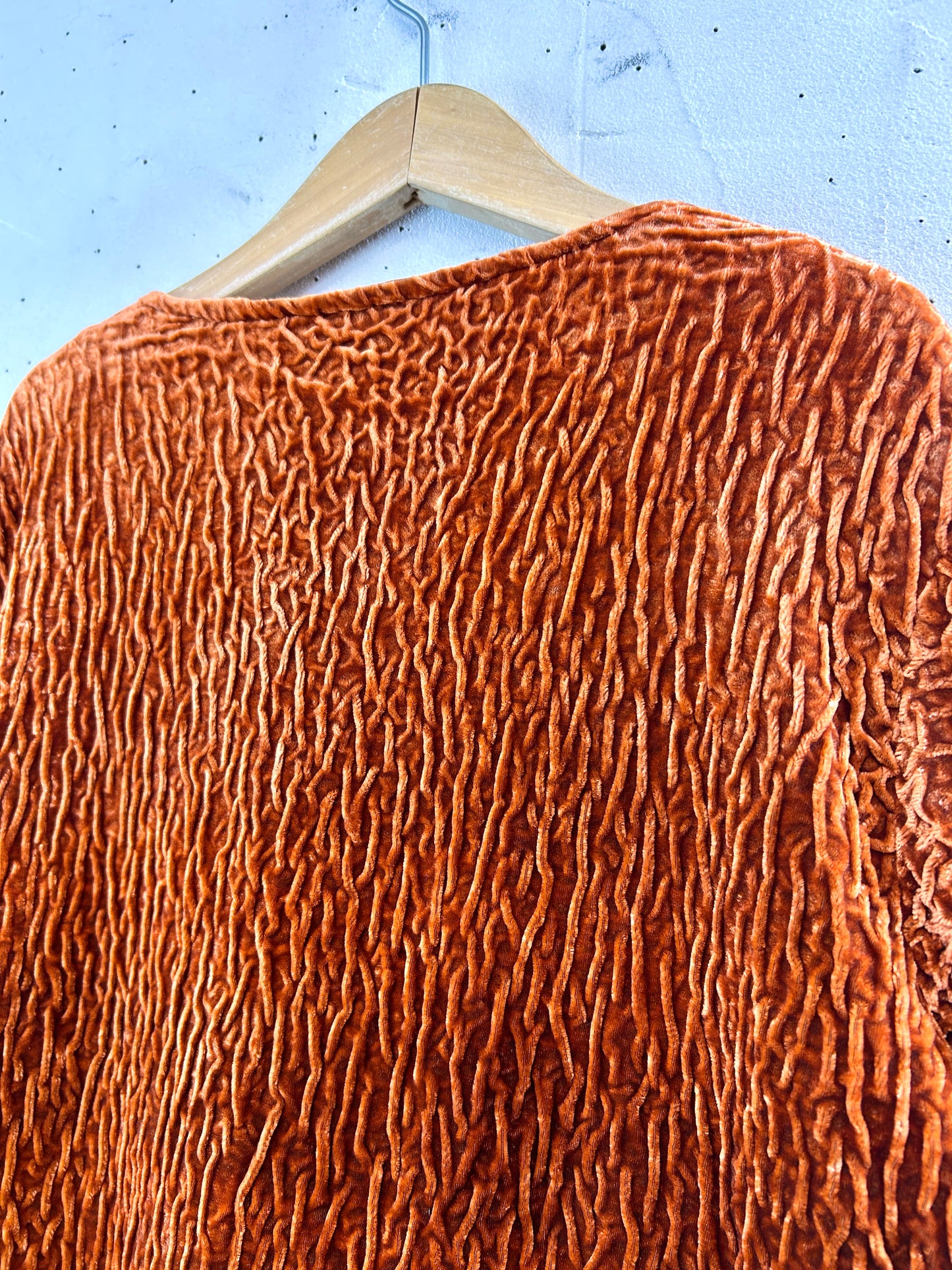 Vintage Velour Jacket [L31017]