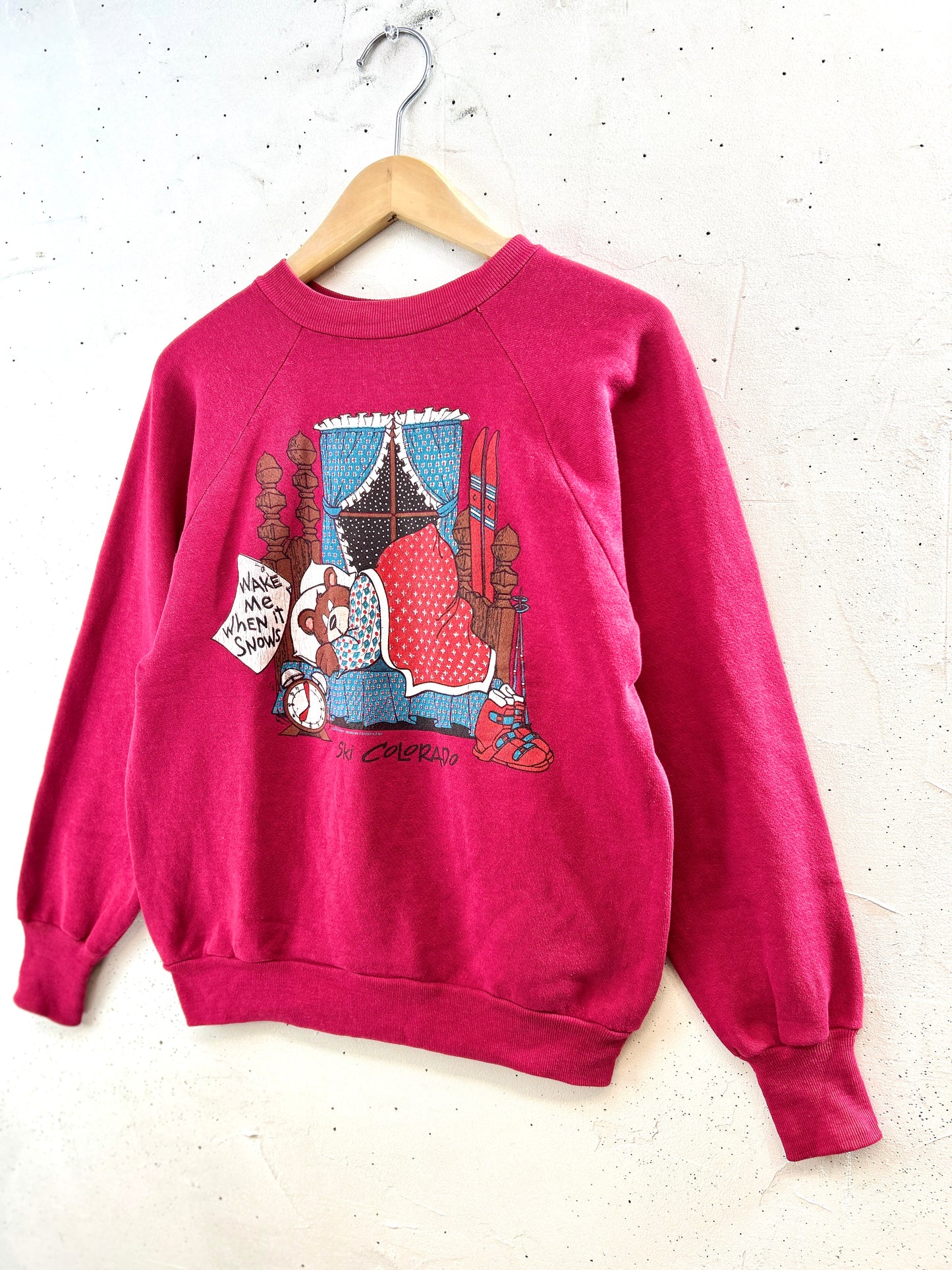 Vintage  Sweat 〜Healthknll〜 MADE IN USA [K30918]