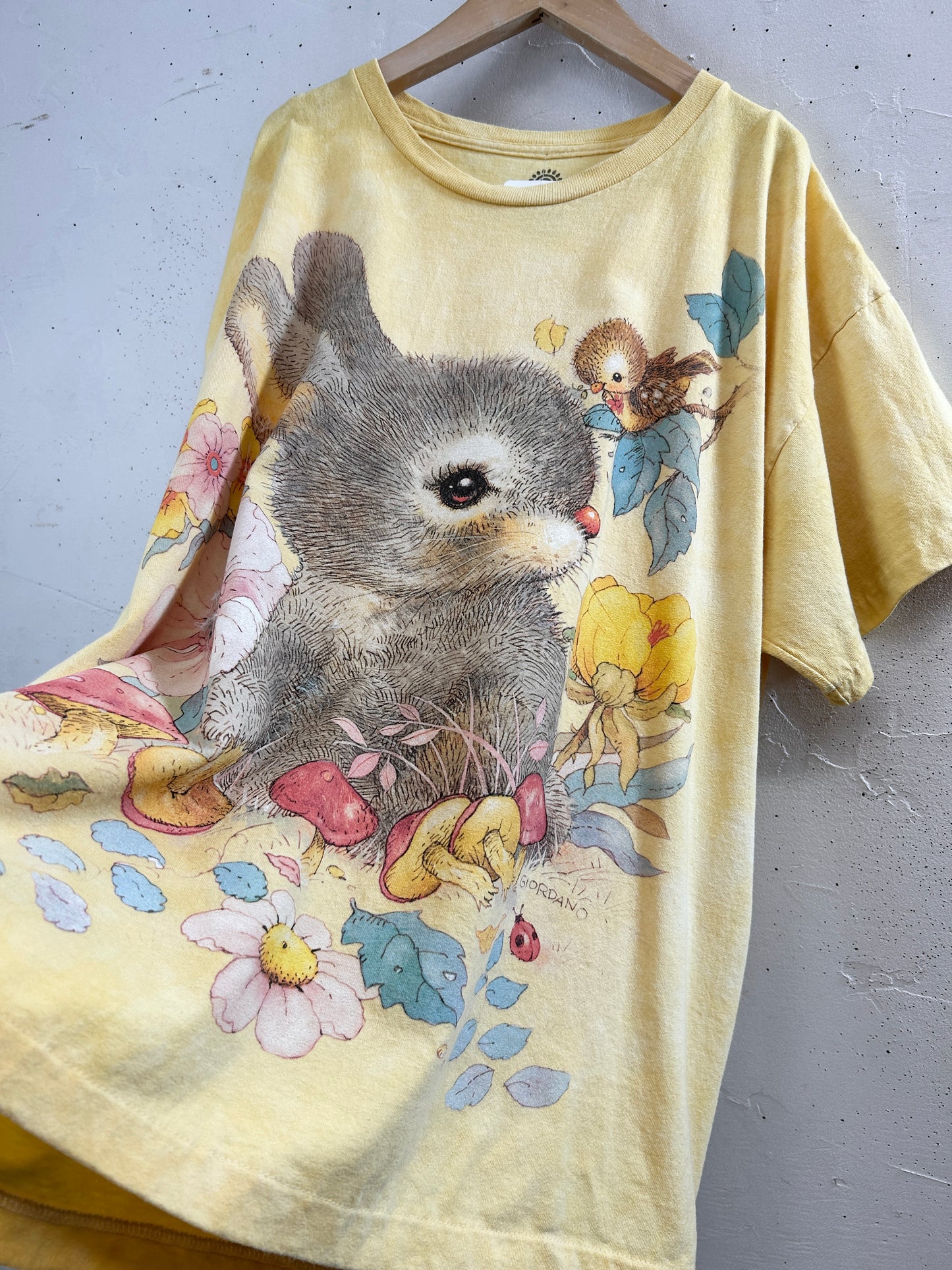Vintage T-Shirt 〜The Mountain〜 [G32906]