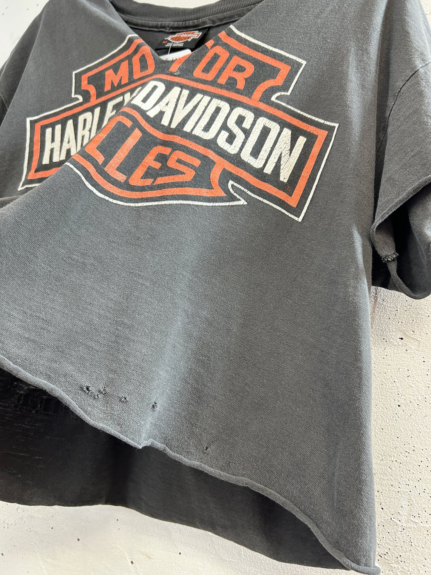 Vintage T-Shirt 〜Harley Davidson〜 [H33523]