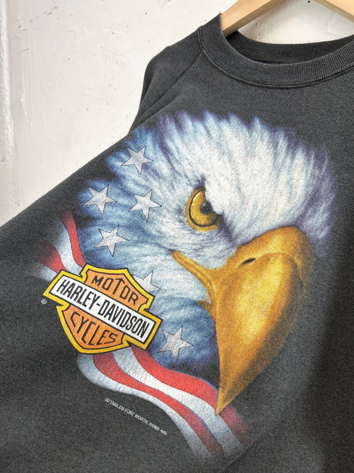 Vintage Sweat 〜3D EMBLEM Harley Davidson〜 [E32444]