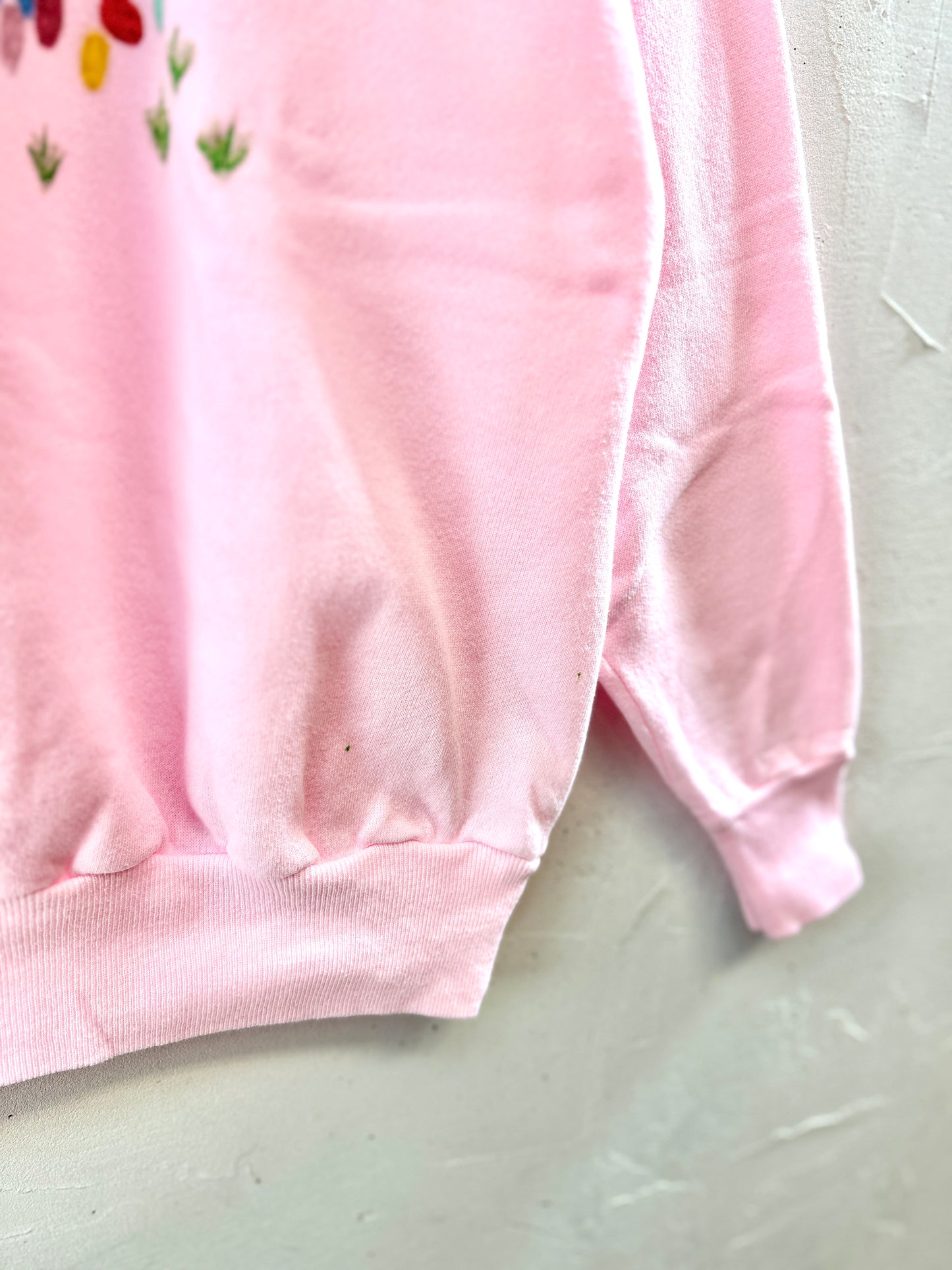Vintage Custom Sweat　MADE IN USA [K30737]