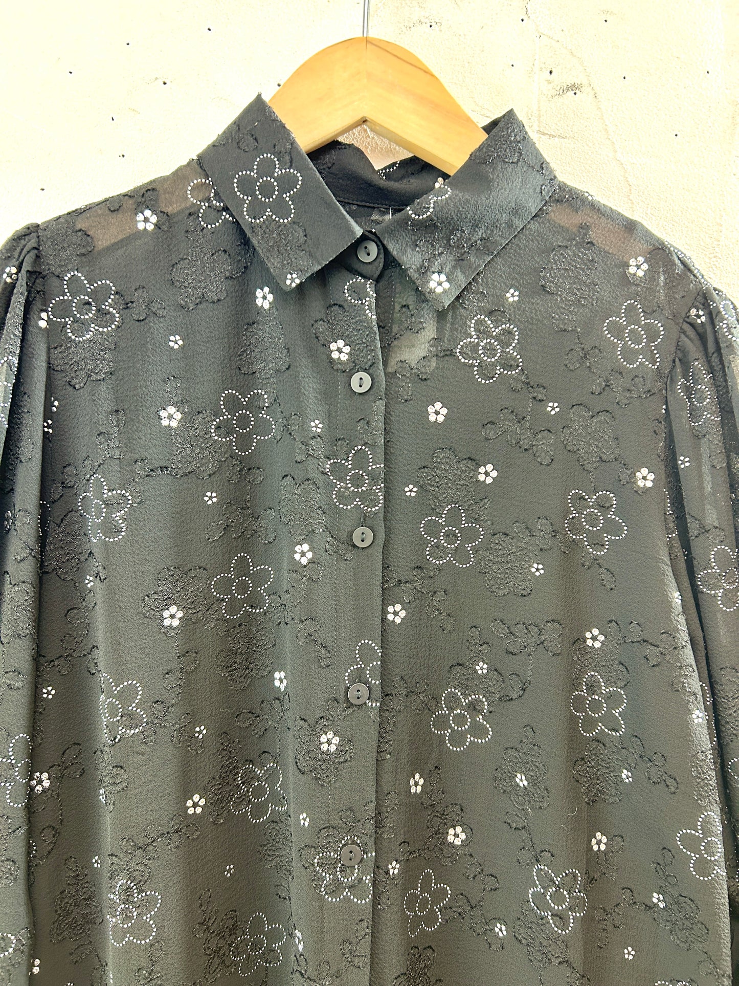 Vintage Sheer Blouse [J30511]