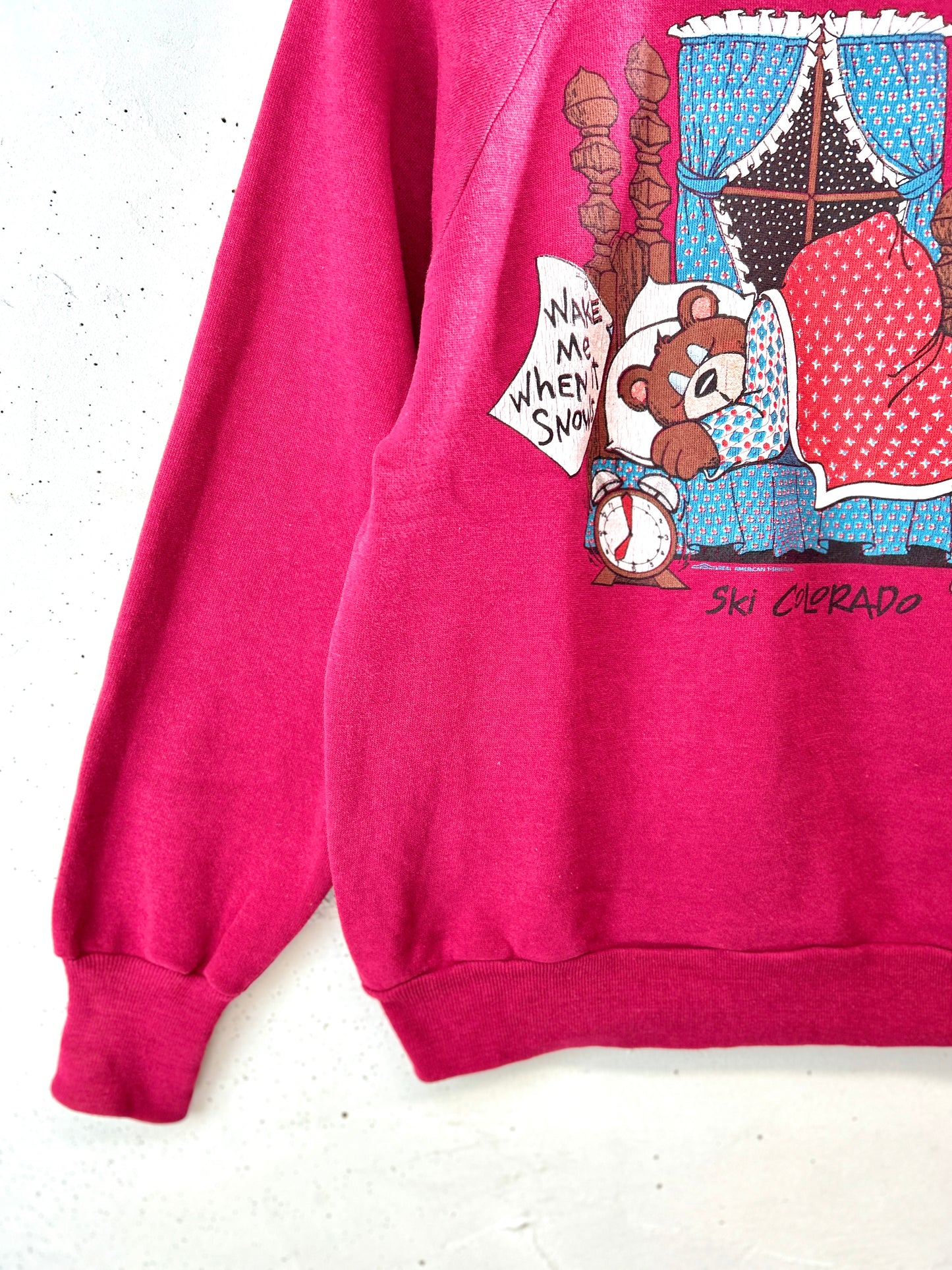 Vintage  Sweat 〜Healthknll〜 MADE IN USA [K30918]