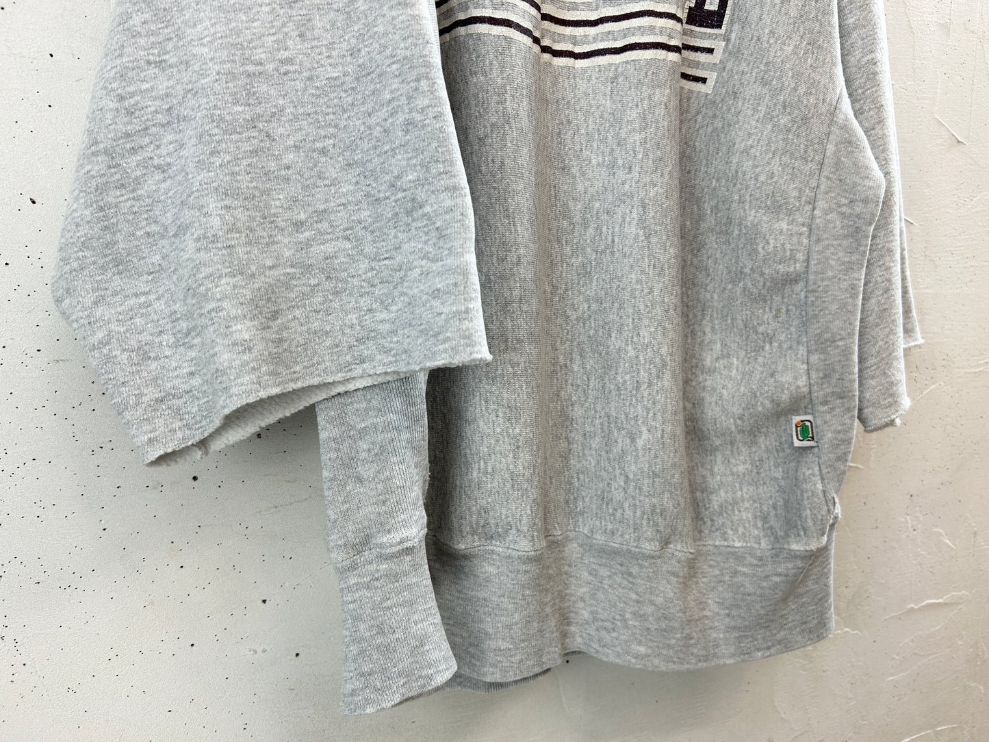 Vintage College Sweat [J30419]