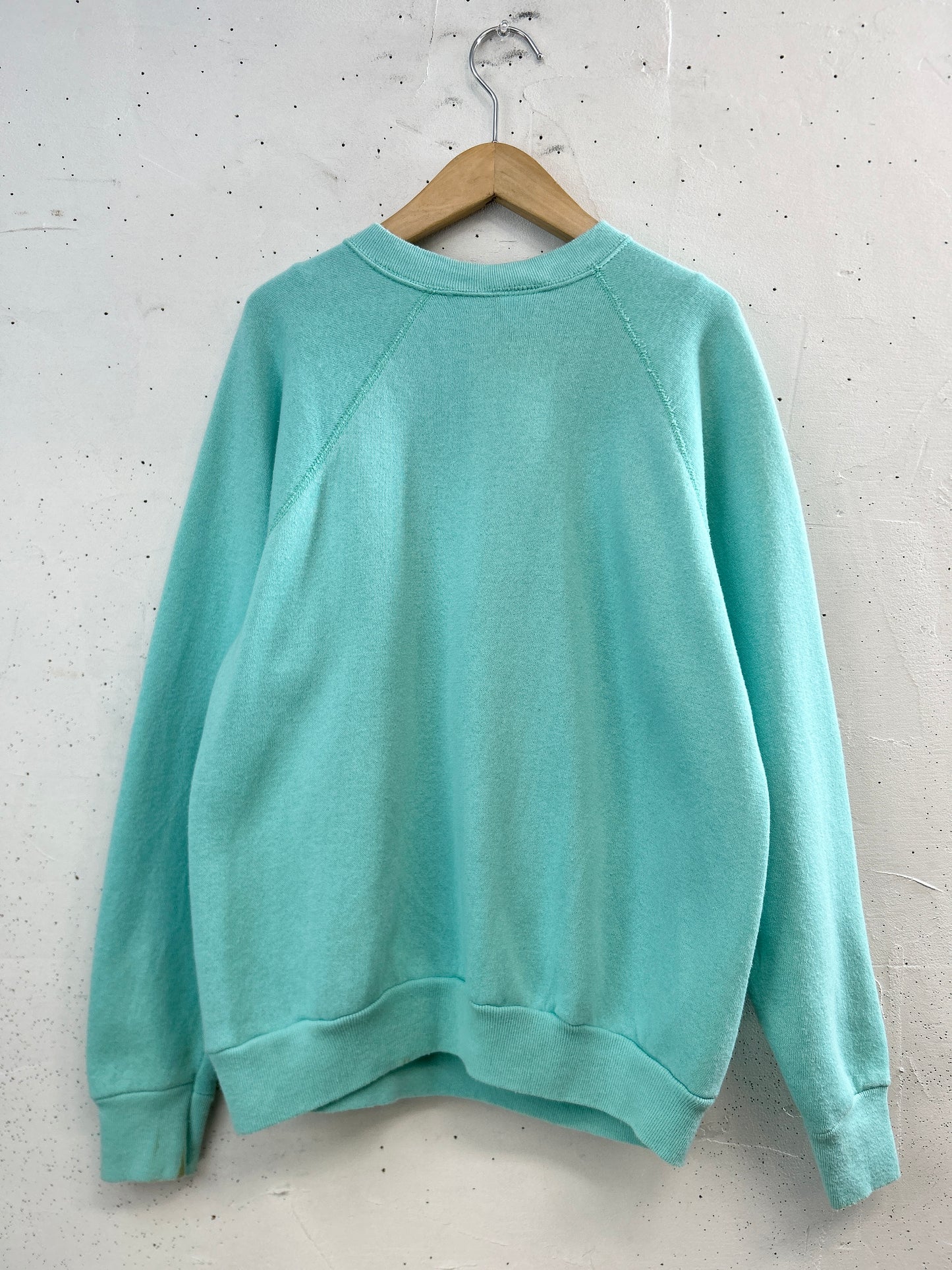 Vintage Sweat 〜MADE IN USA〜 [A31325]