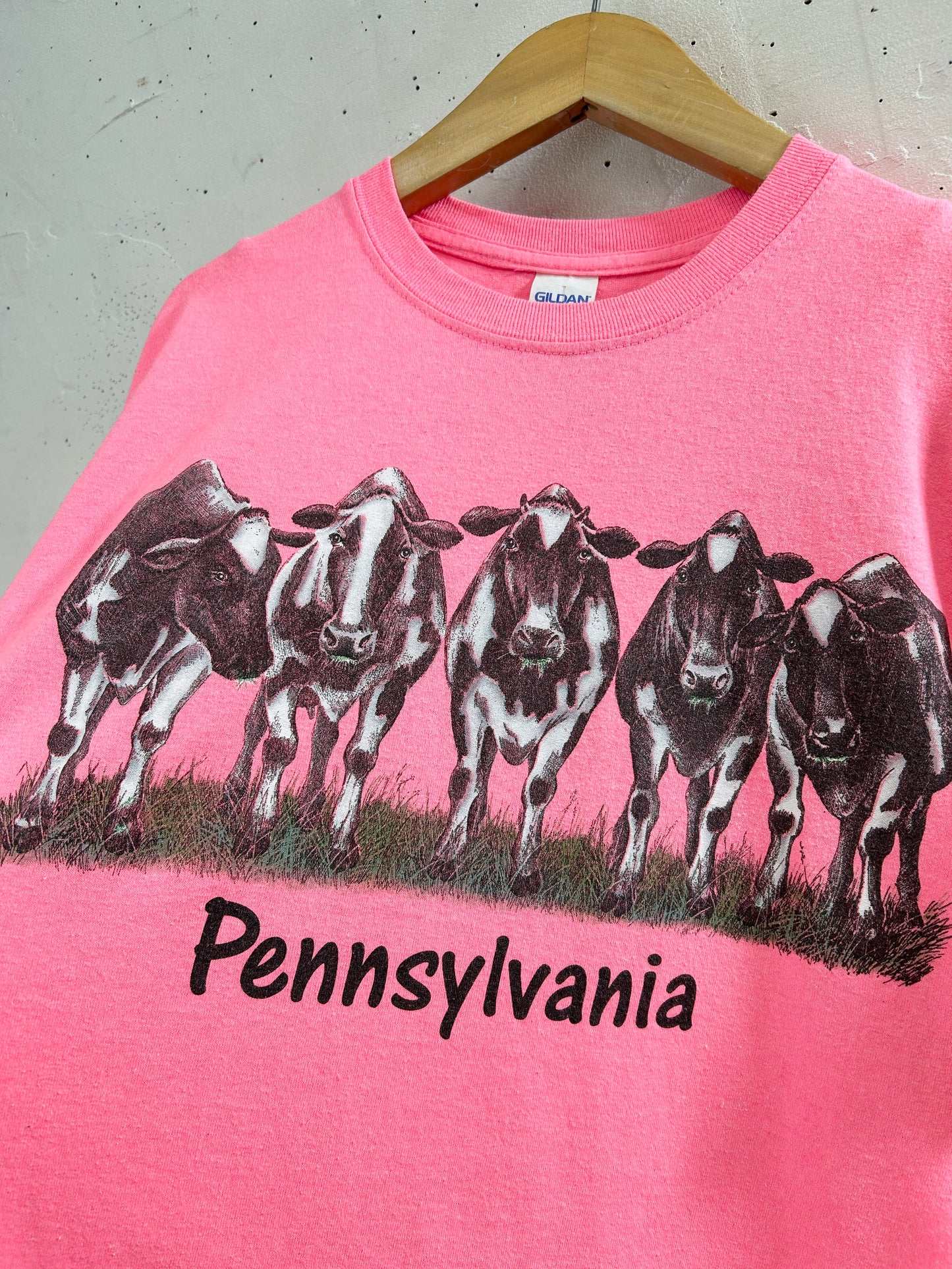 Vintage T-Shirt [H33432]