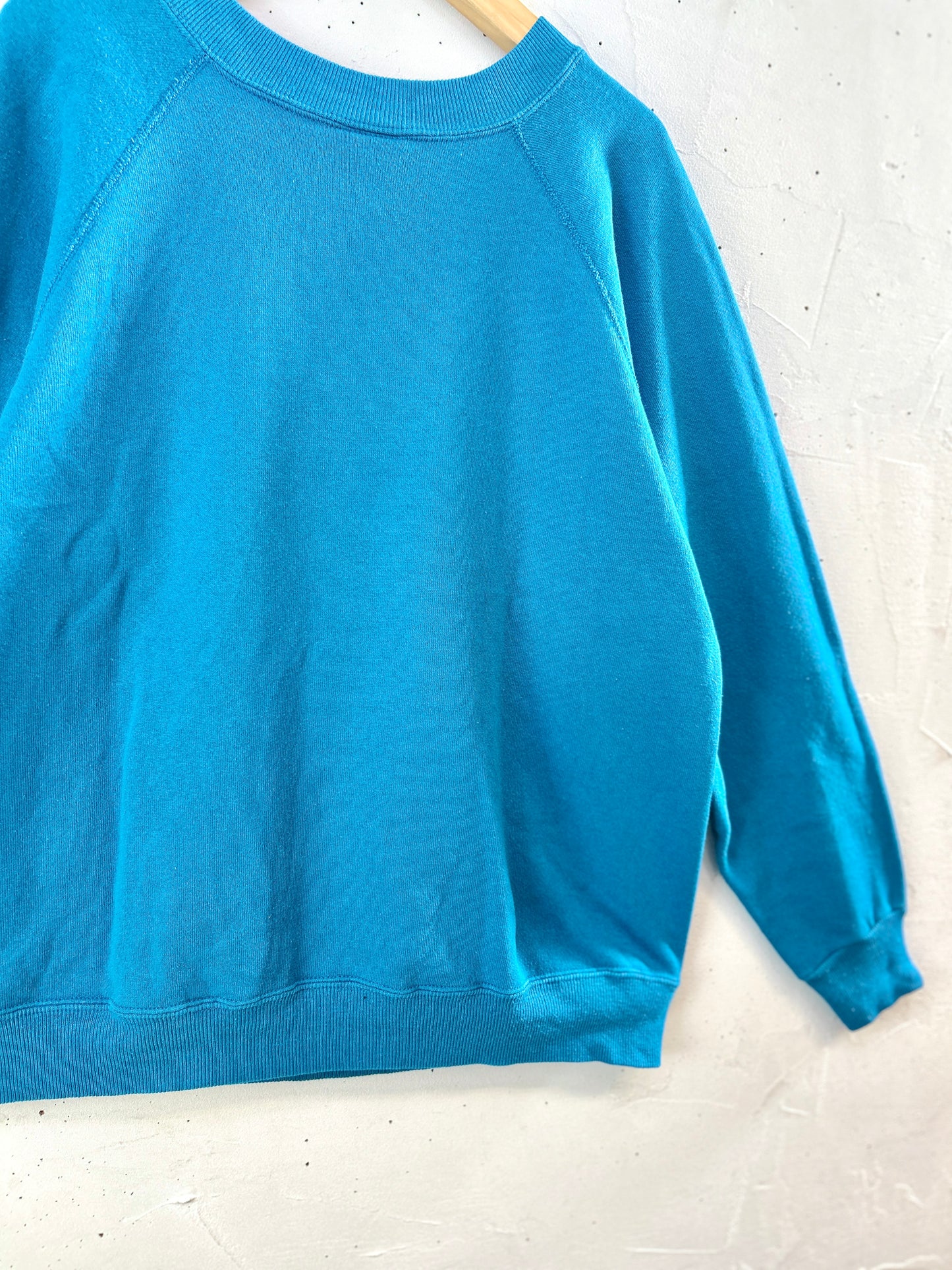 Vintage Sweat  〜Hanes HerWay〜 MADE IN USA [J30527]