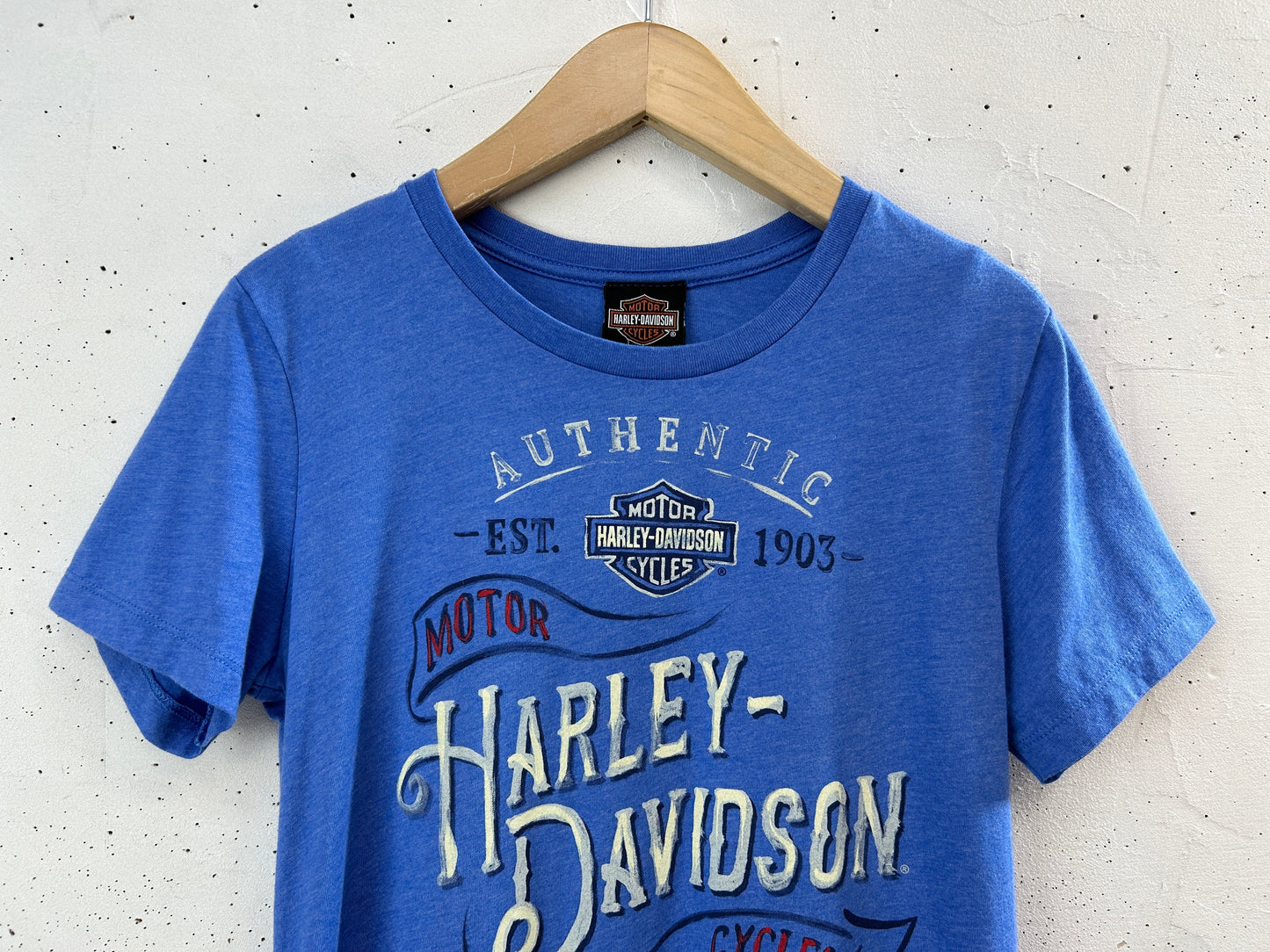 Vintage T-Shirt 〜Harley Davidson〜 [F32589]