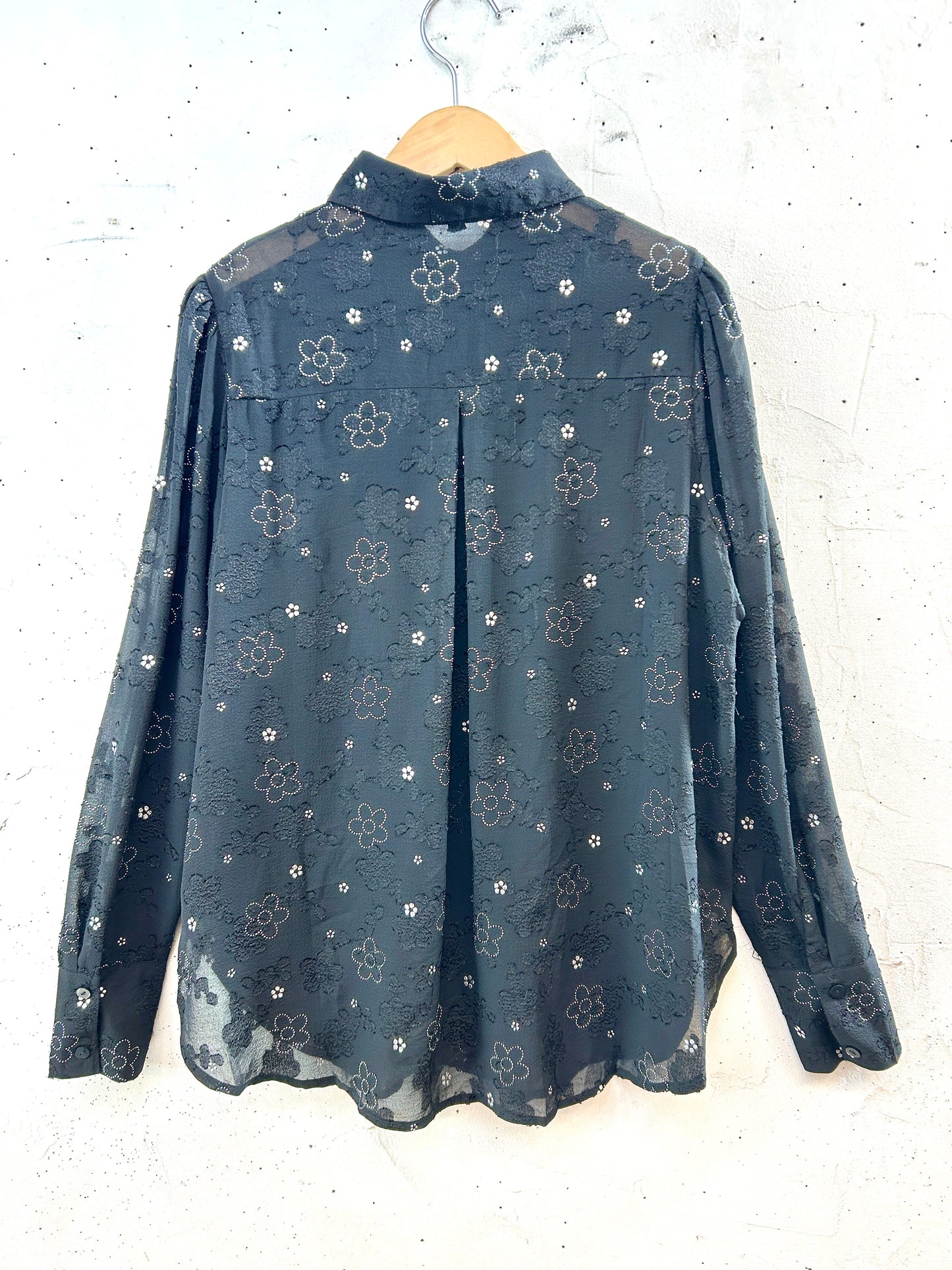 Vintage Sheer Blouse [J30511]