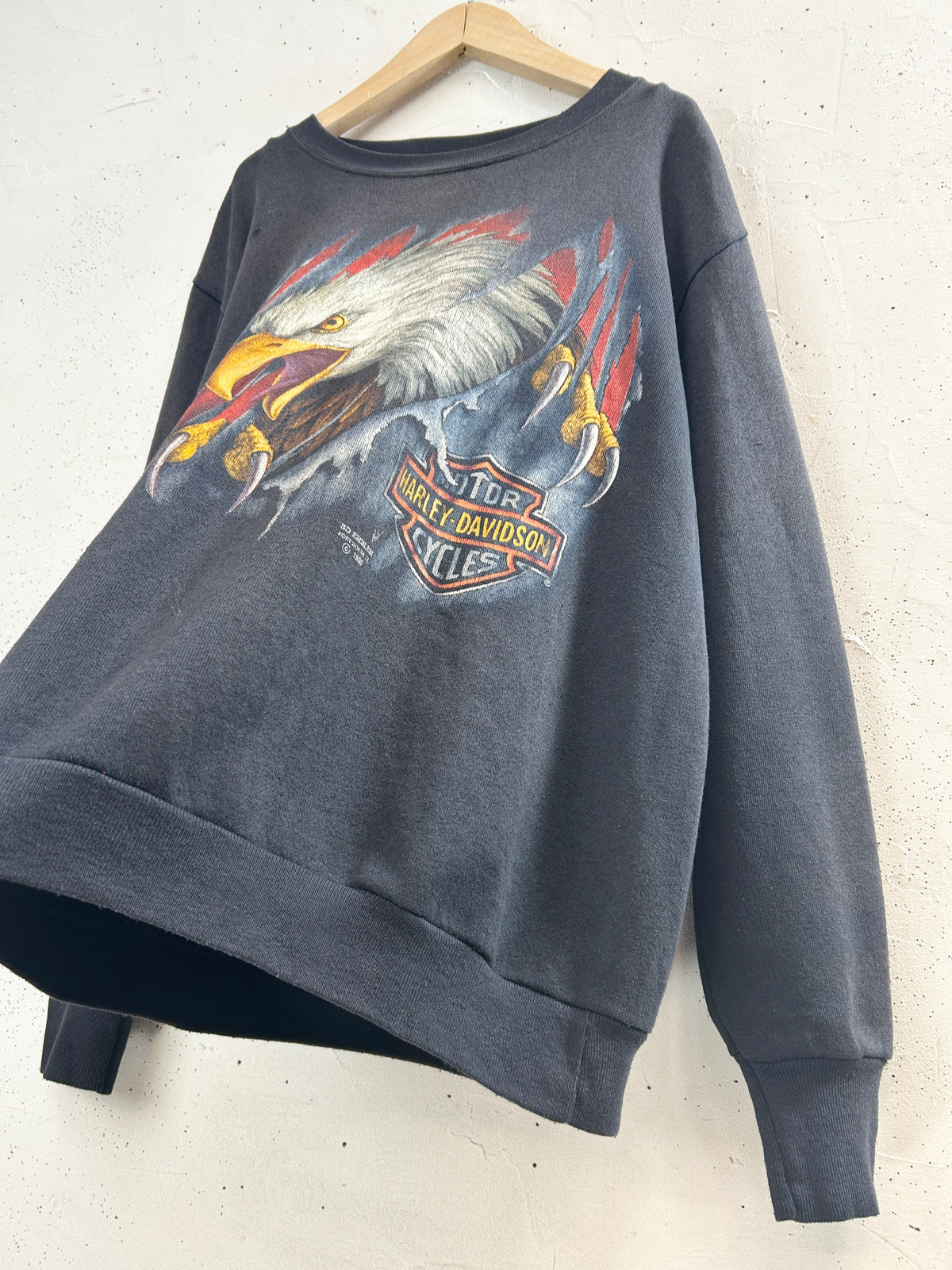 Vintage Sweat 〜3D EMBLEM Harley Davidson〜  [J34087]