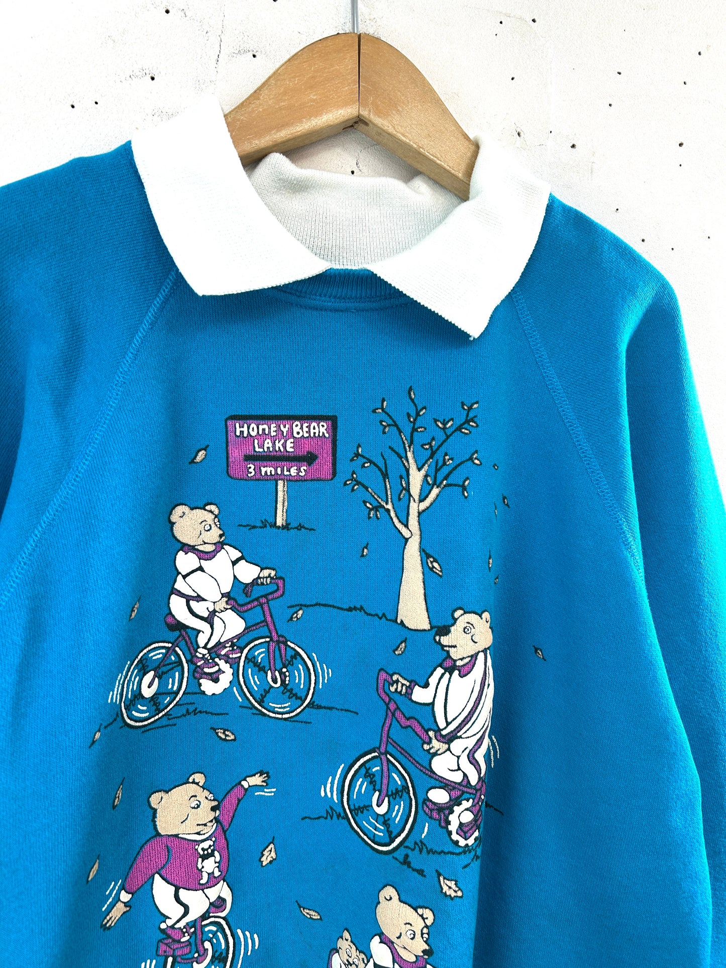 Vintage Sweat ~Hanes~ MADE IN USA  [A31400]