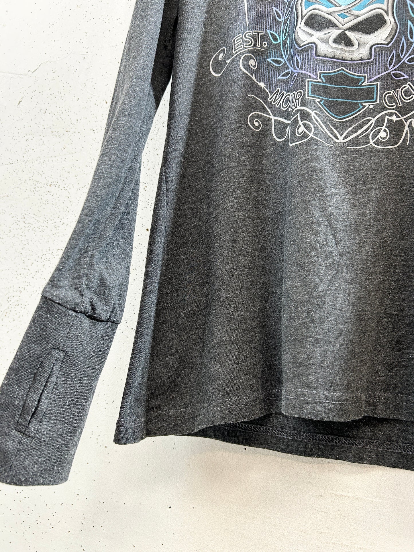 Vintage Long Sleeve Shirt 〜Harley Davidson〜 [I33771]