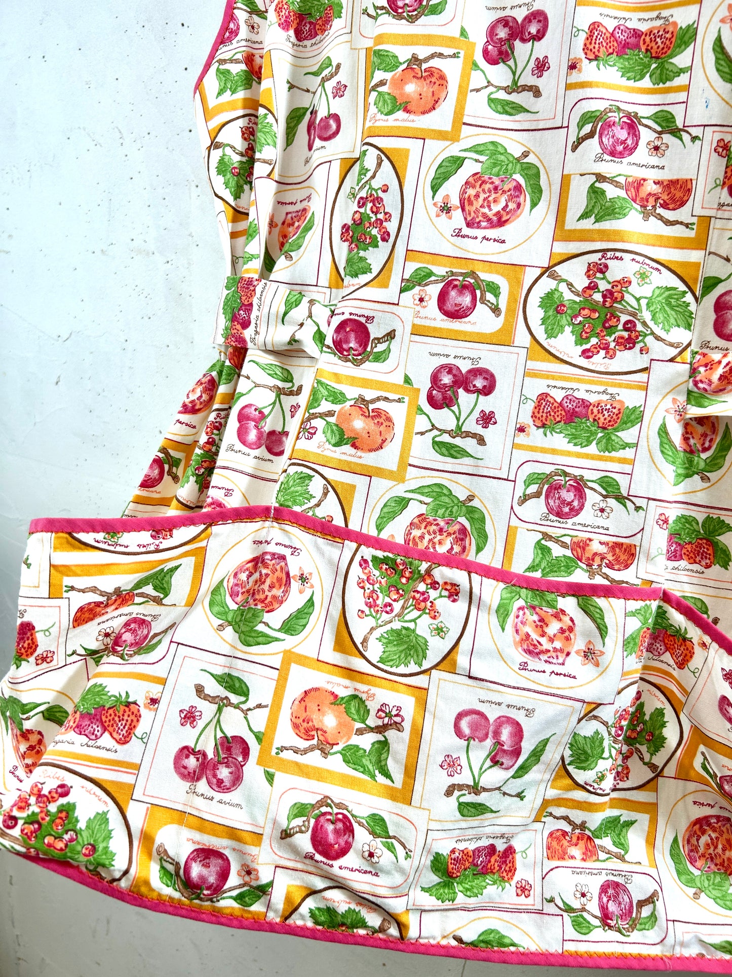 Vintage Apron[H30750]
