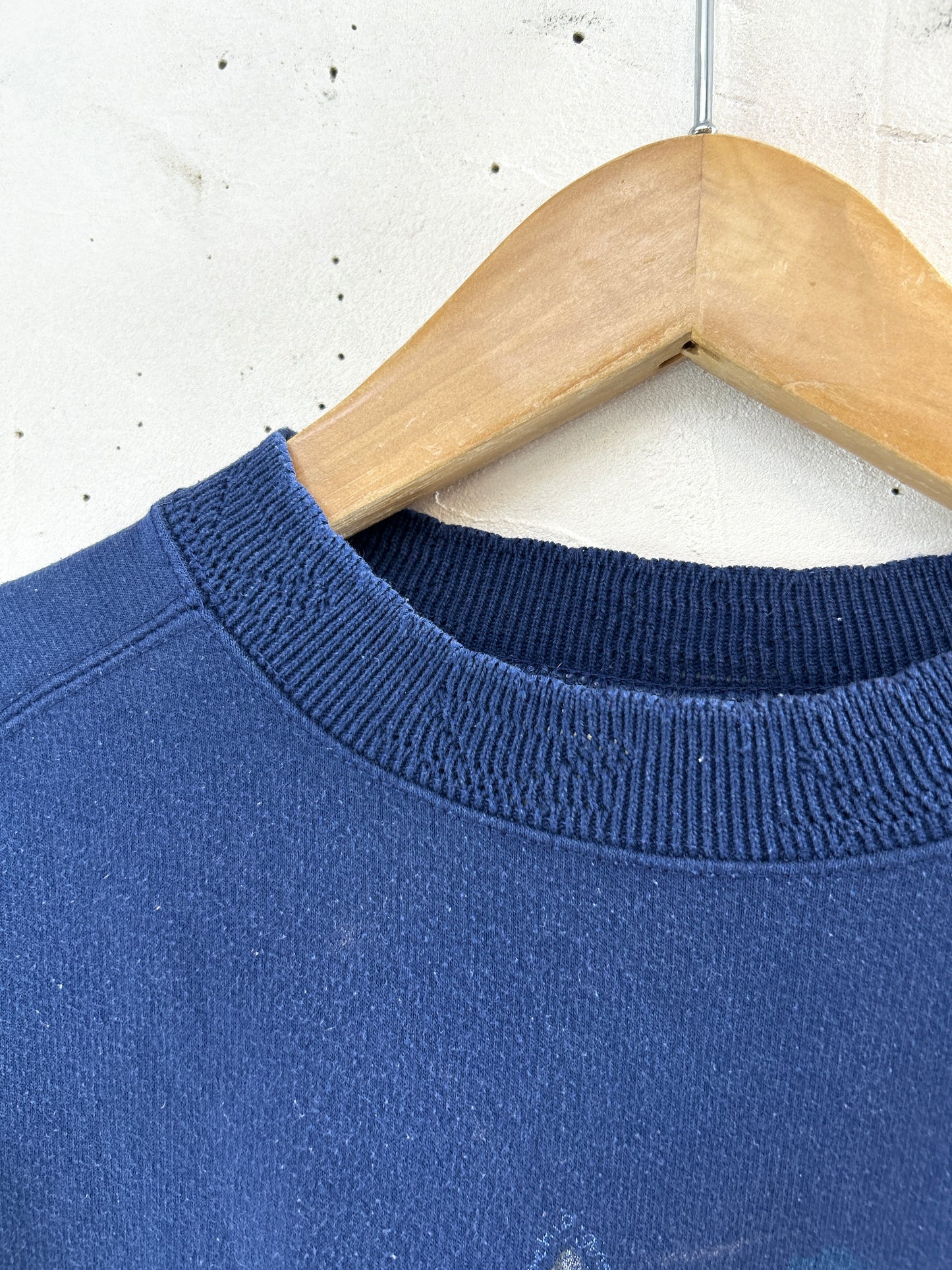 Vintage Sweat 〜NORTHERN REFLECTIONS〜 [K30904]