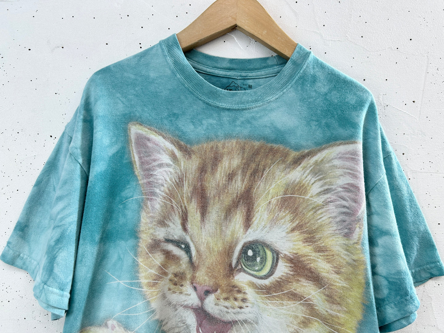 Vintage T-Shirt 〜The Mountain〜 [H33563]