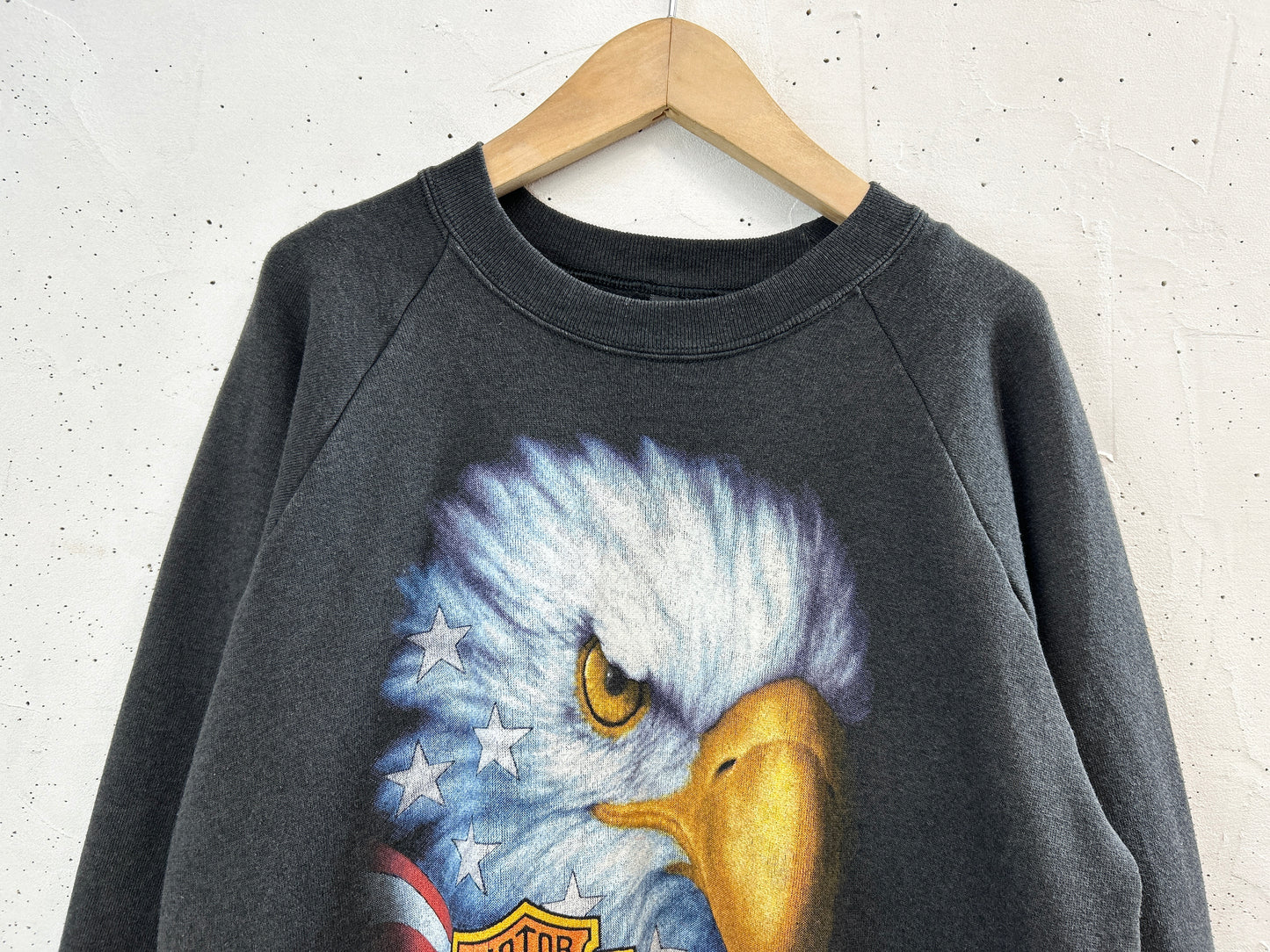 Vintage Sweat 〜3D EMBLEM Harley Davidson〜 [E32444]