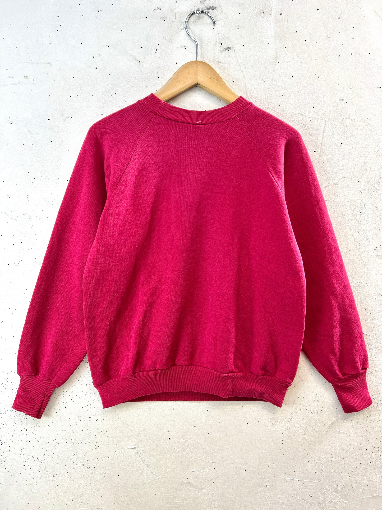 Vintage  Sweat 〜Healthknll〜 MADE IN USA [K30918]