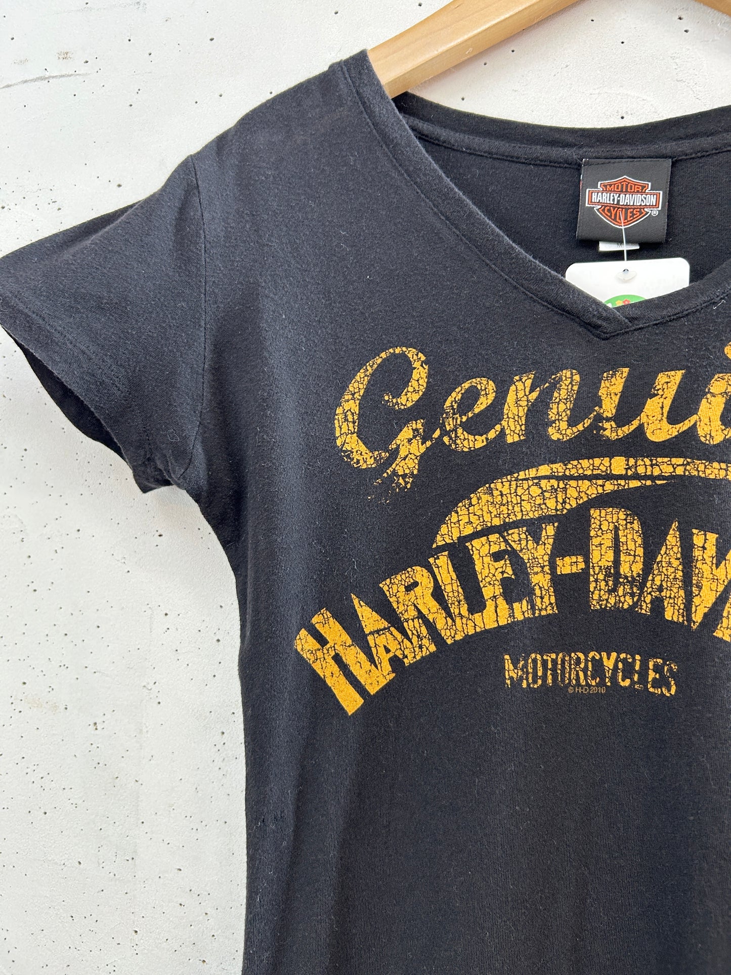 Vintage T-Shirt 〜Harley Davidson〜 [H33519]