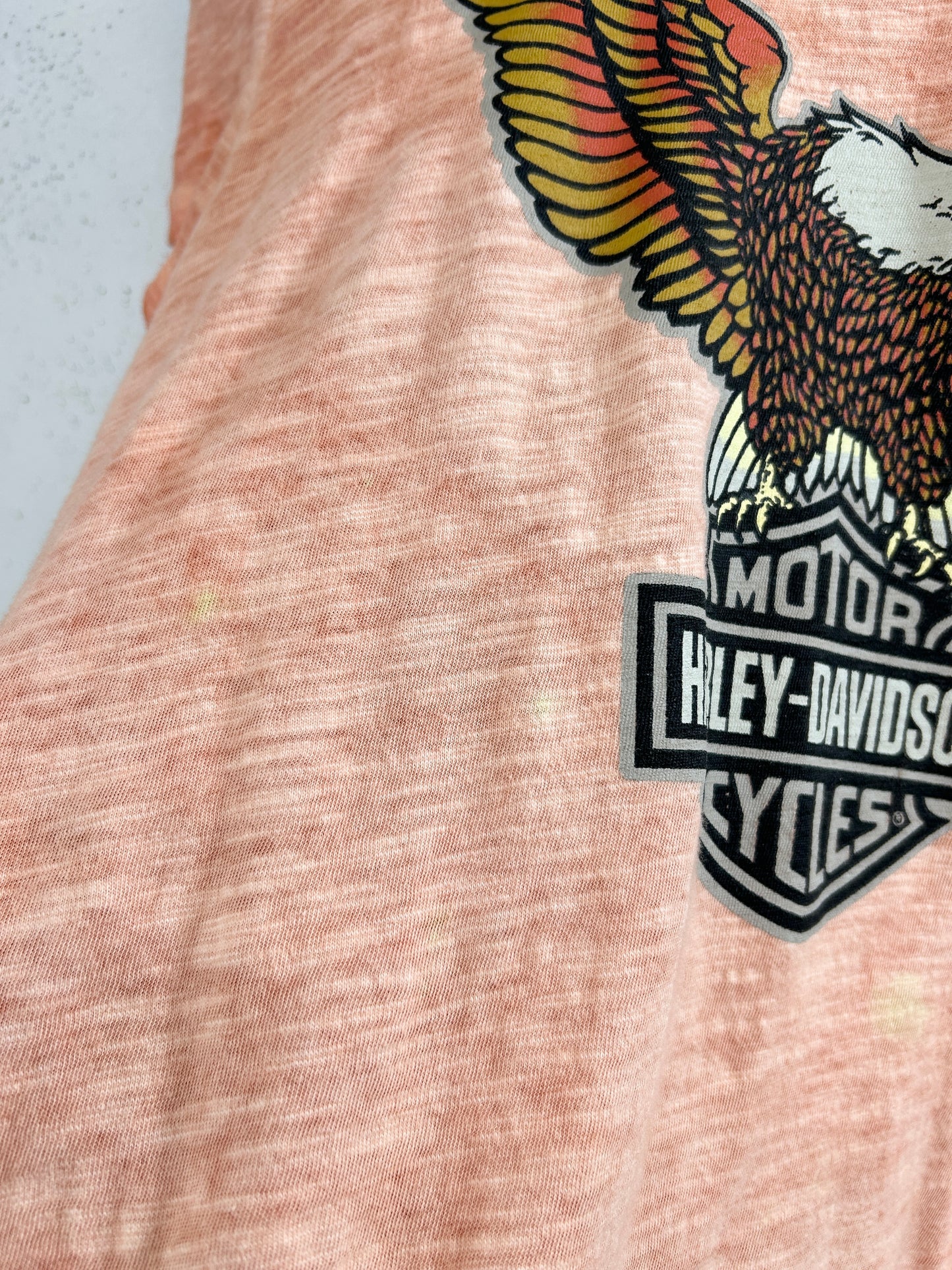 Vintage T-Shirt 〜Harley Davidson〜 [H33522]