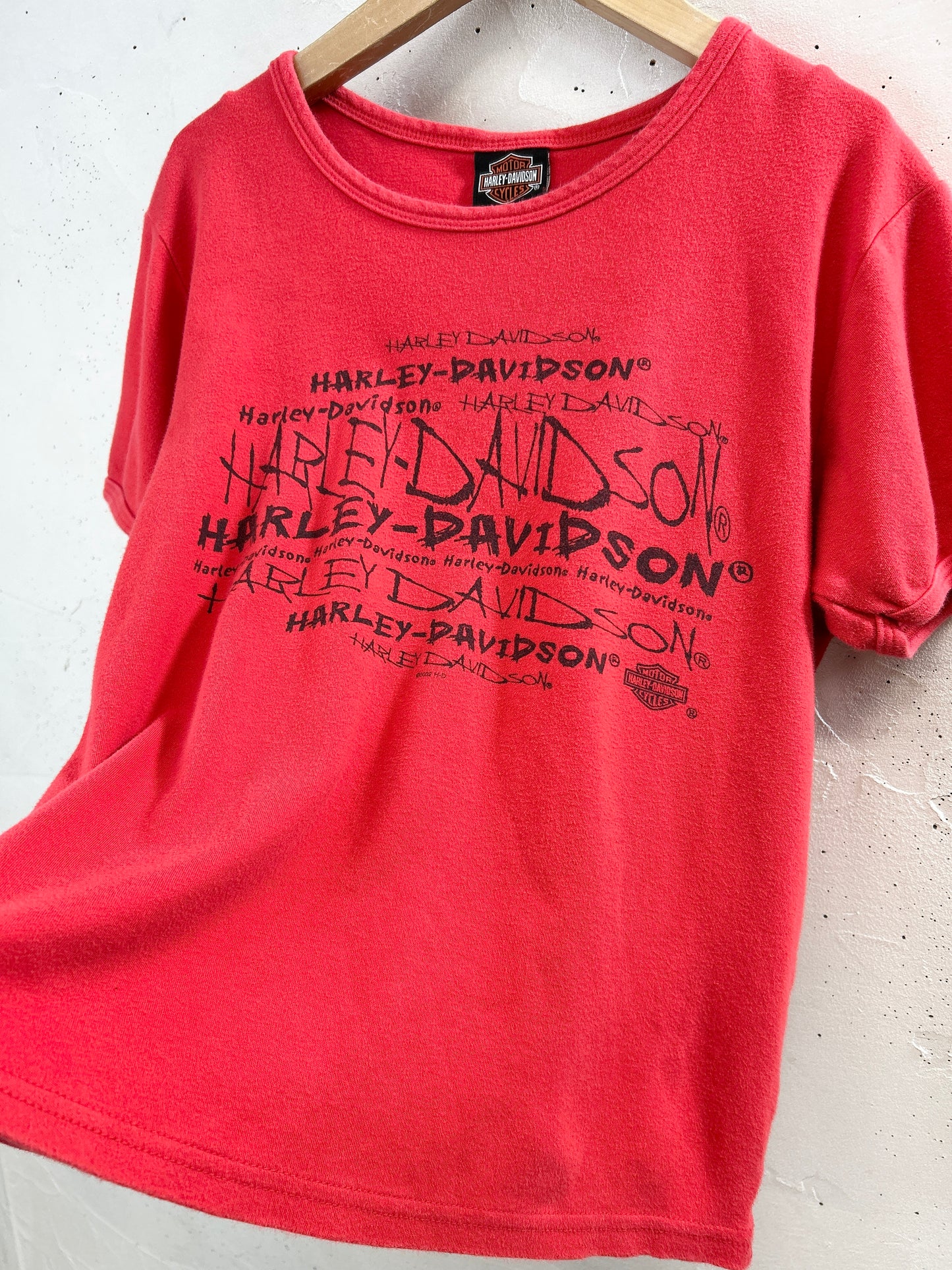 Vintage T-Shirt 〜Harley Davidson〜 [F32588]