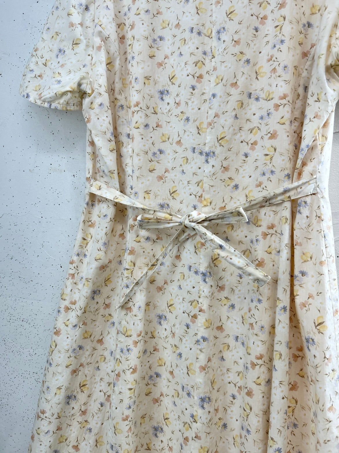 Vintage Dress [E32323]