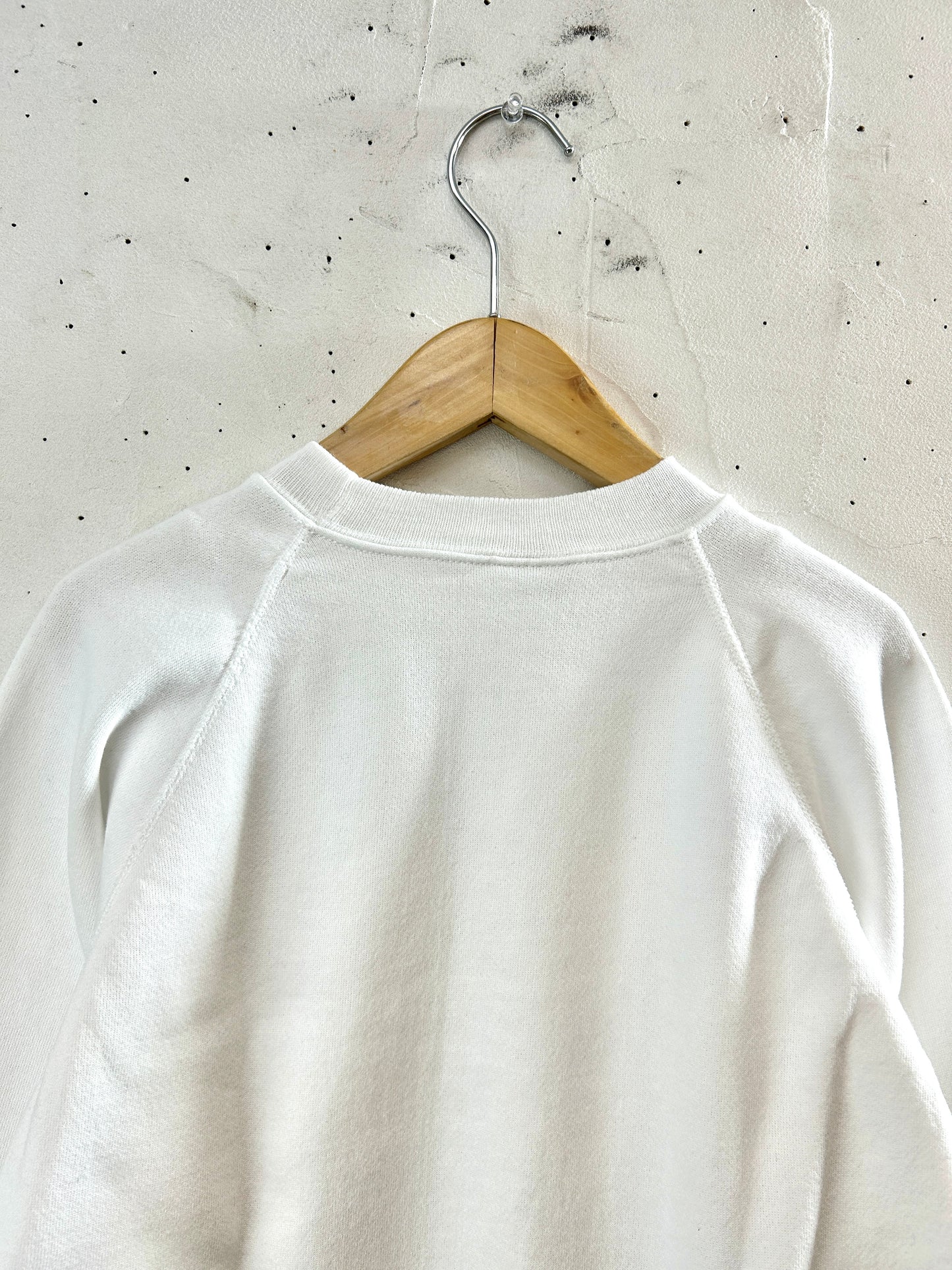 Vintage Sweat  〜Hanes〜 MADE IN USA [J30558]