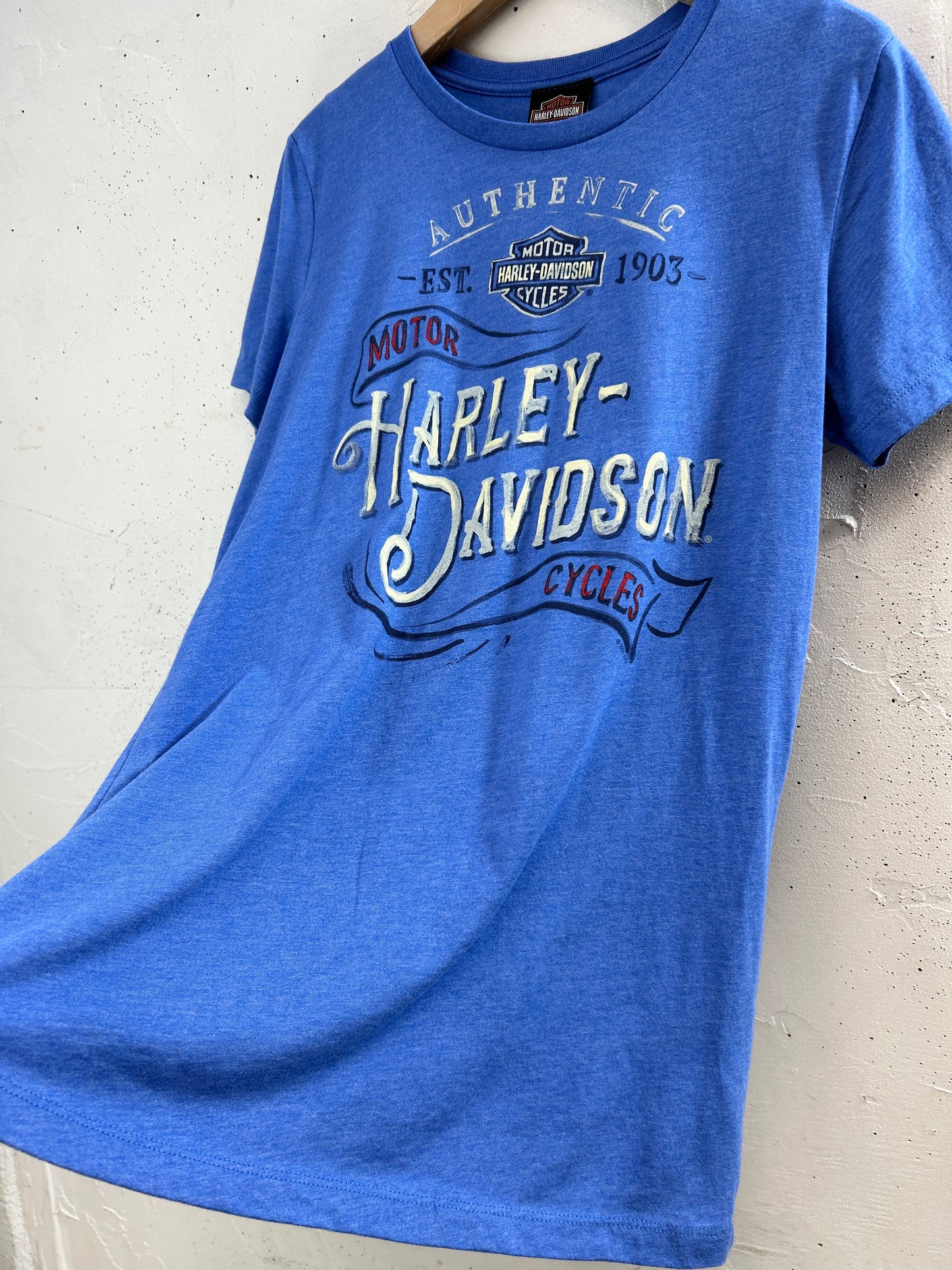Vintage T-Shirt 〜Harley Davidson〜 [F32589]