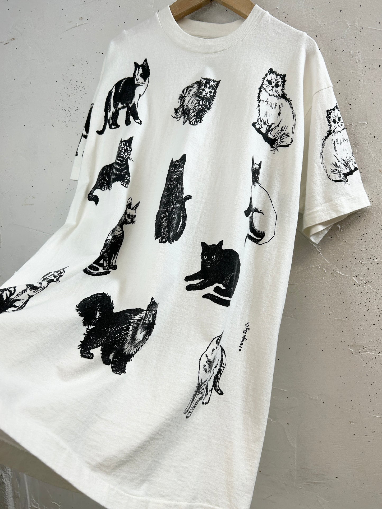 Vintage T Shirt 〜MICHIGAN RAG〜 MADE IN USA [H33614]