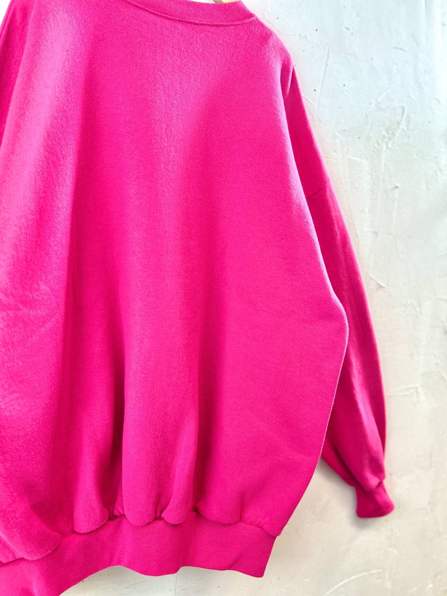Vintage Sweat MADE IN USA [I30298]
