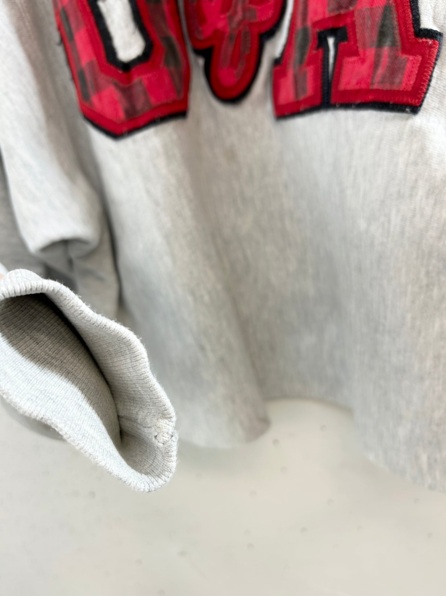 Vintage Sweat '90s Champion Reverseweave [L30987]
