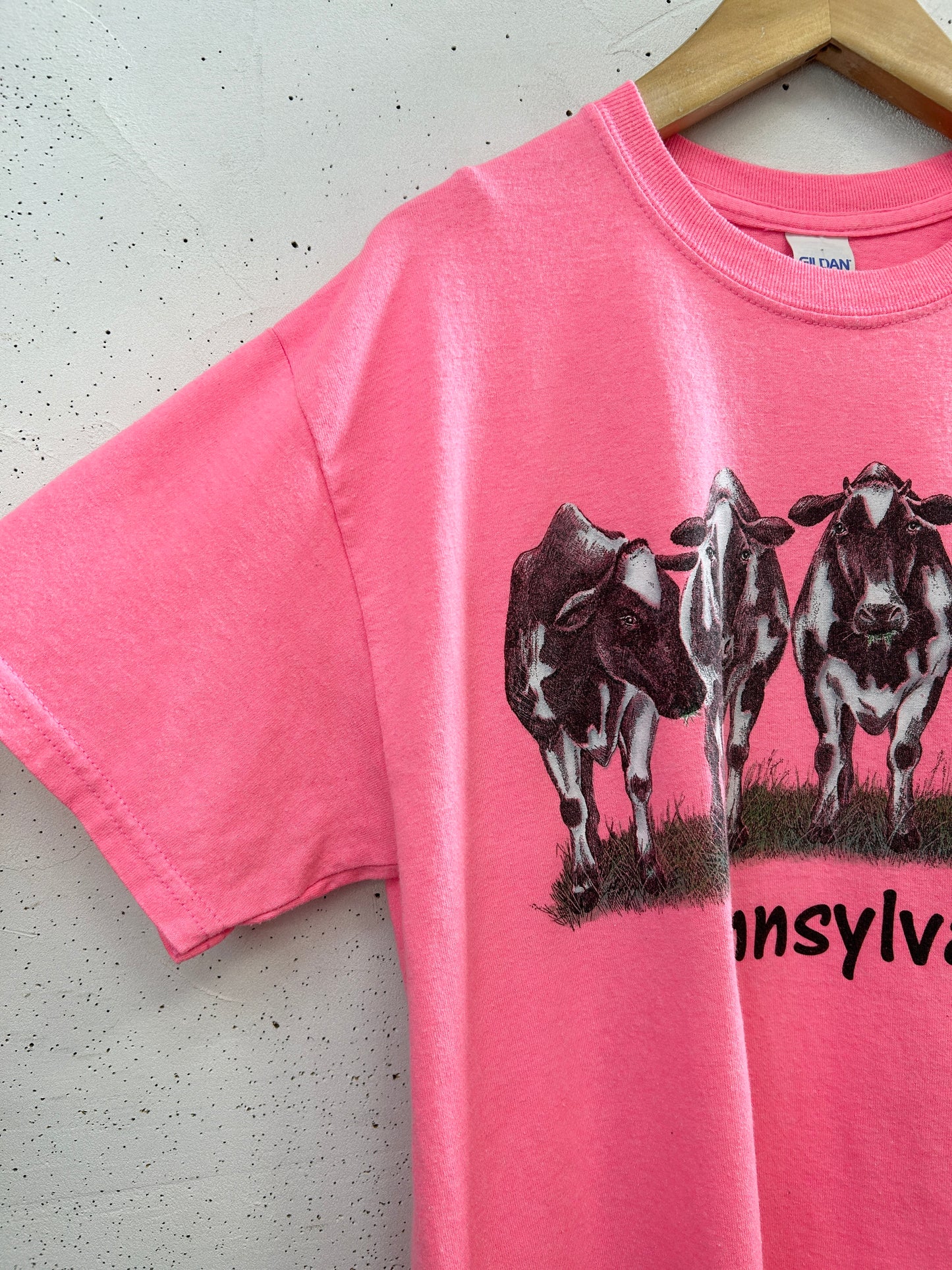 Vintage T-Shirt [H33432]