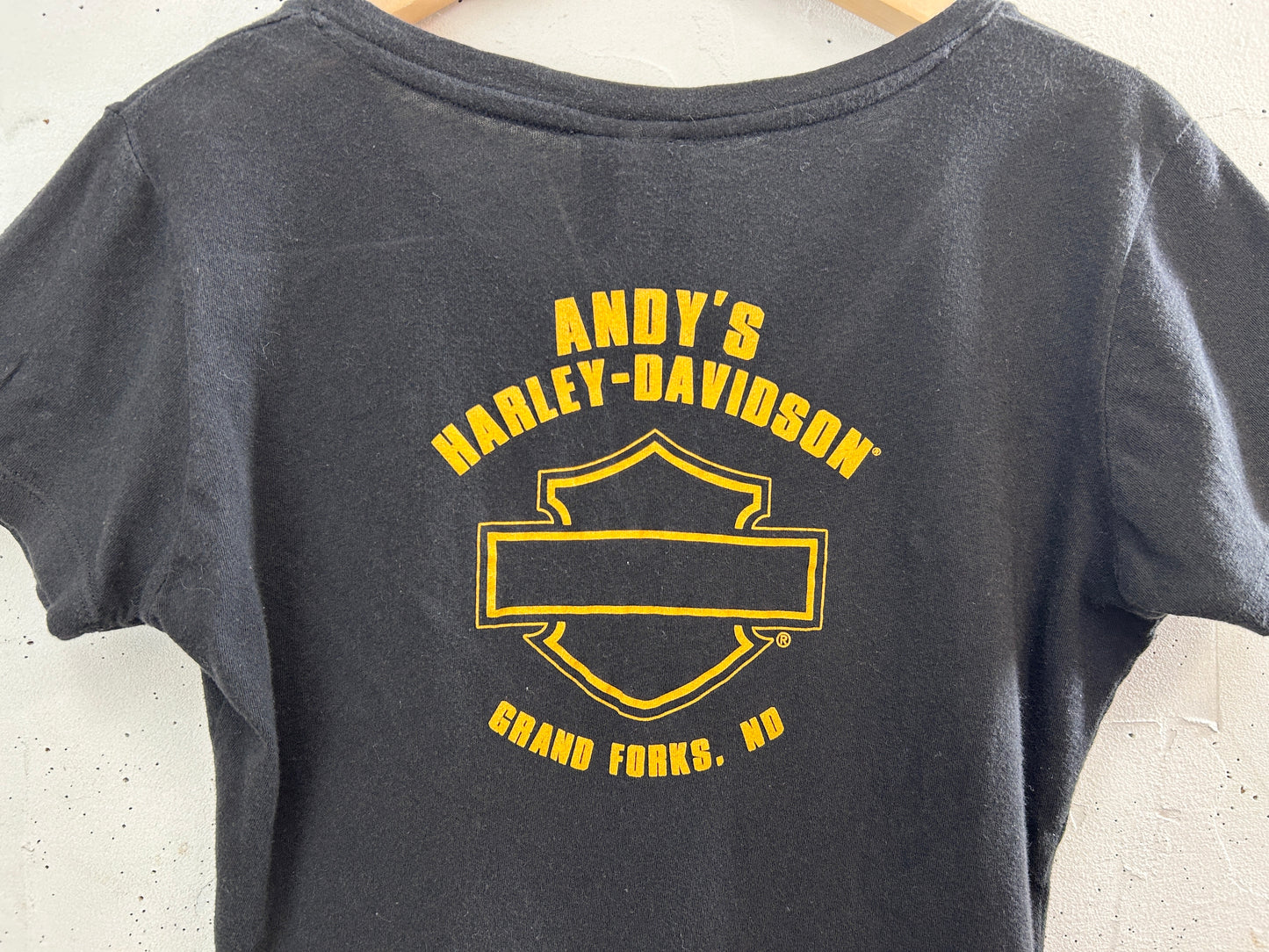 Vintage T-Shirt 〜Harley Davidson〜 [H33519]