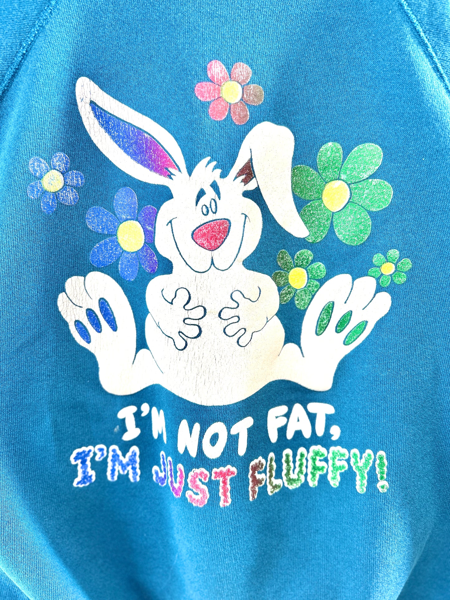 Vintage Sweat MADE IN USA [K30738]