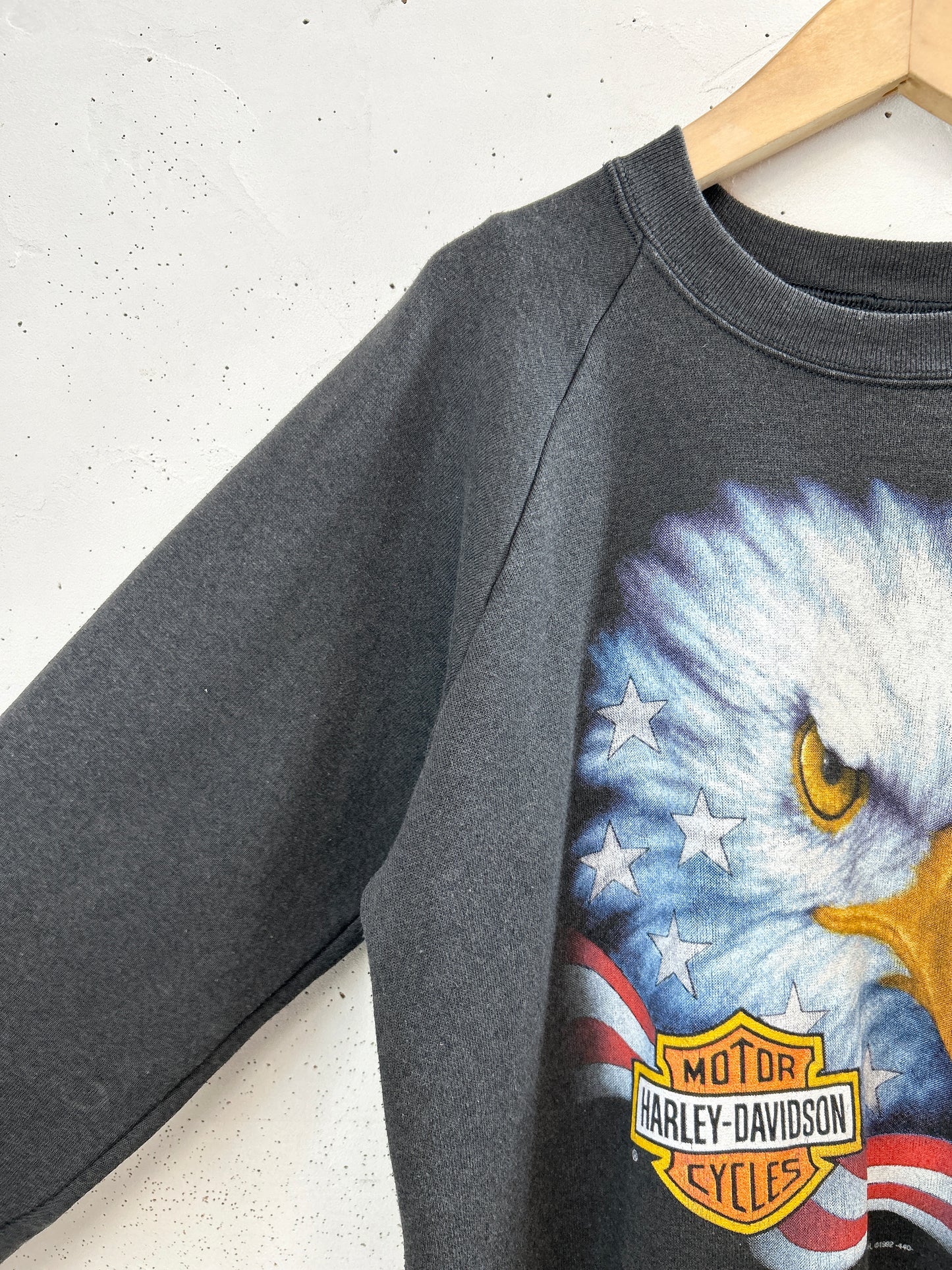 Vintage Sweat 〜3D EMBLEM Harley Davidson〜 [E32444]