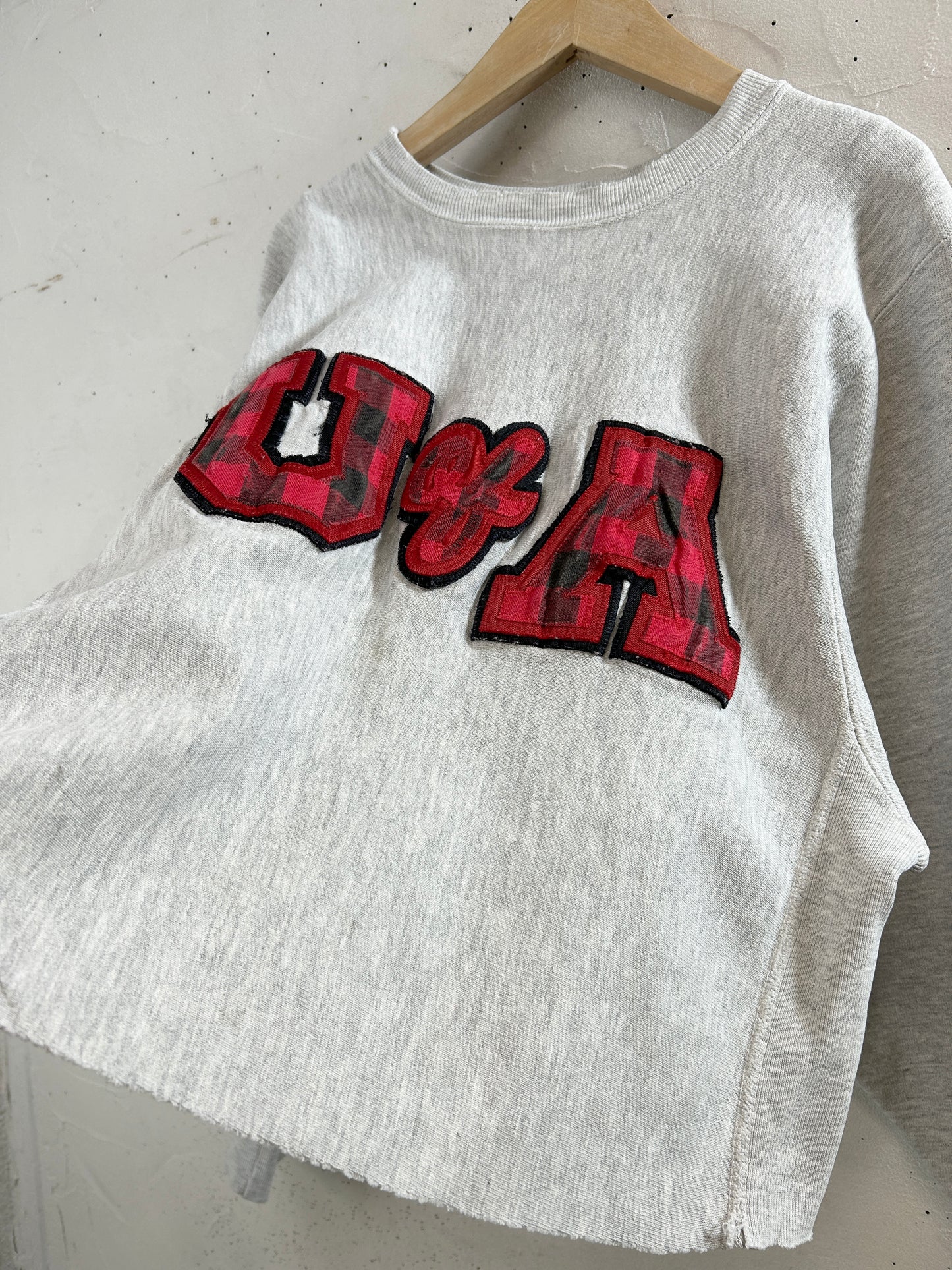 Vintage Sweat '90s Champion Reverseweave [L30987]