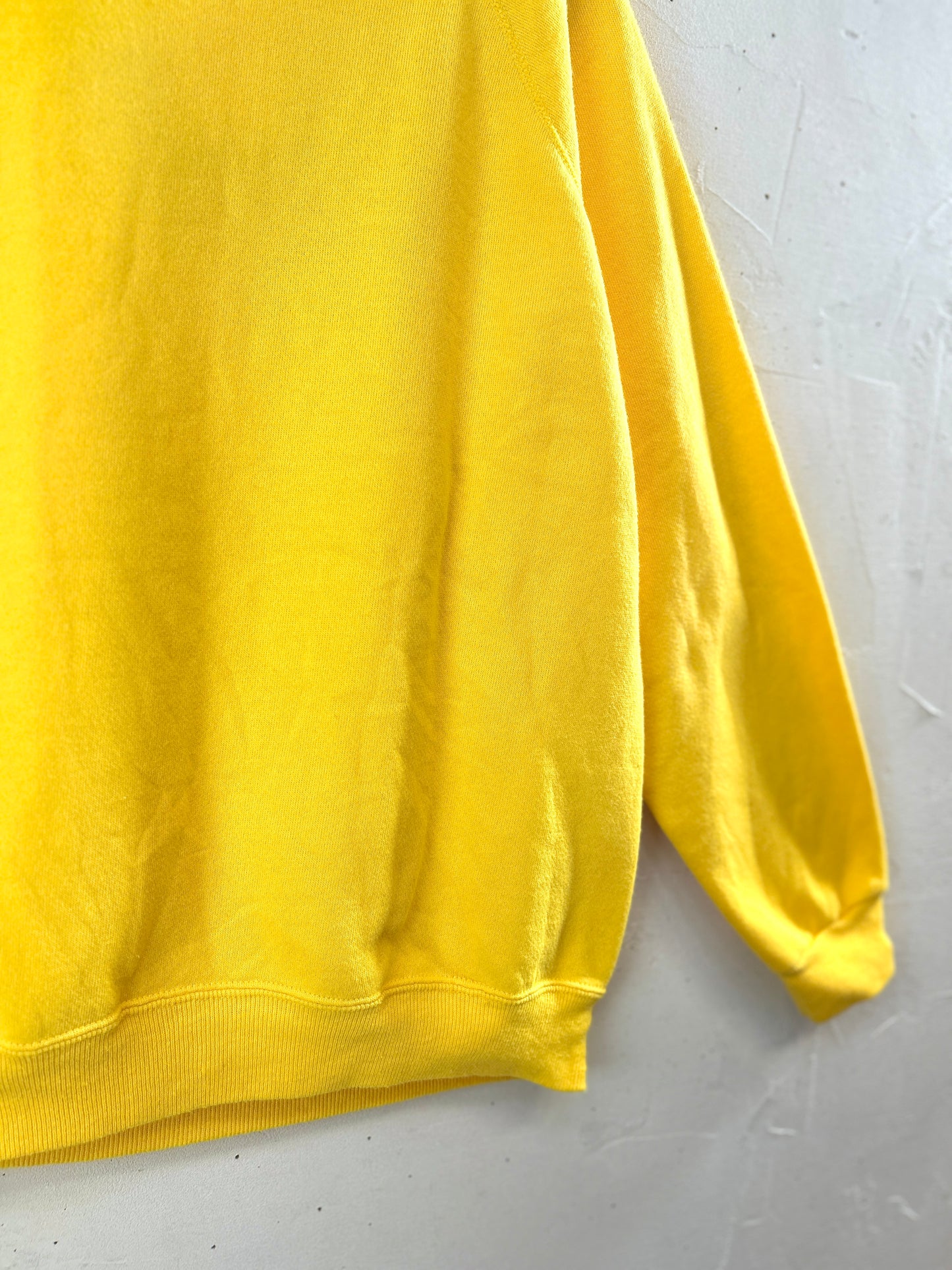 Vintage Custom Sweat　MADE IN USA 〜Hanes Her Way〜[J30529]