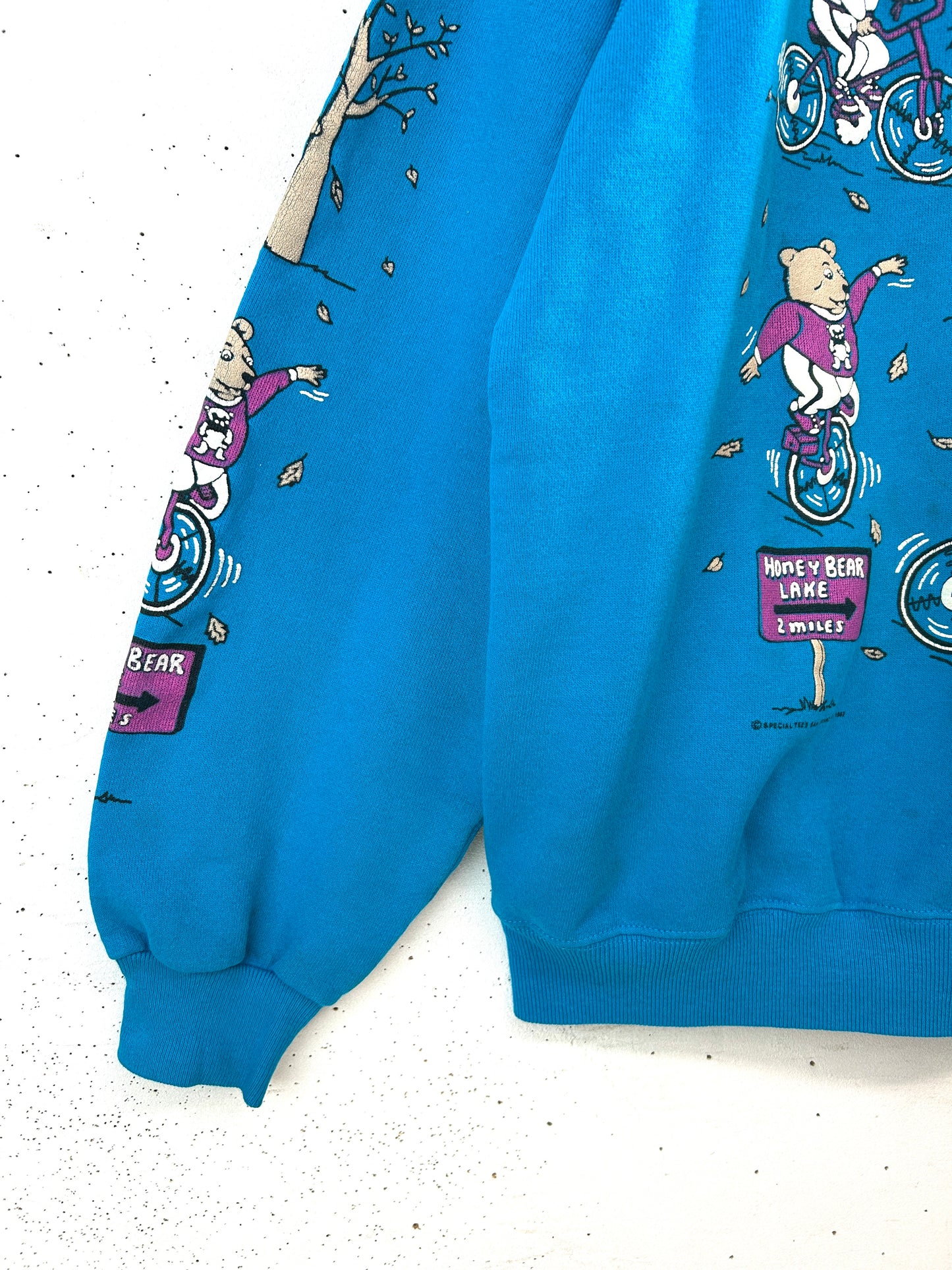 Vintage Sweat ~Hanes~ MADE IN USA  [A31400]