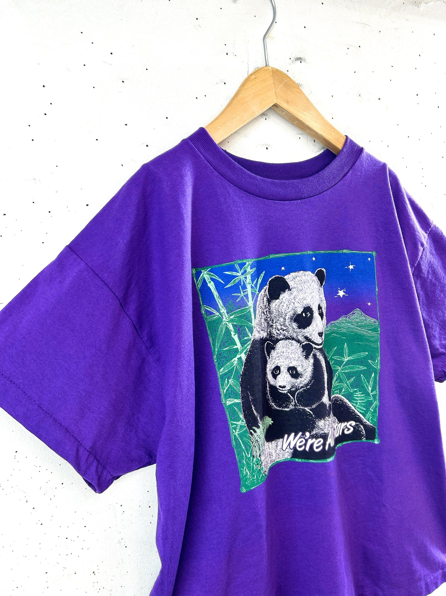 Vintage T-Shirt 〜BEST FRUIT OF THE LOOM〜 [G32917]