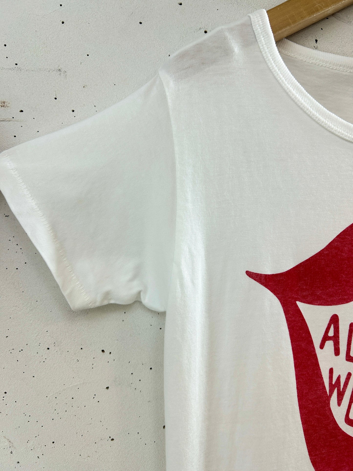 Vintage T-Shirt MADE IN USA 〜BEST FRUIT OF THE LOOM〜 [F32695]