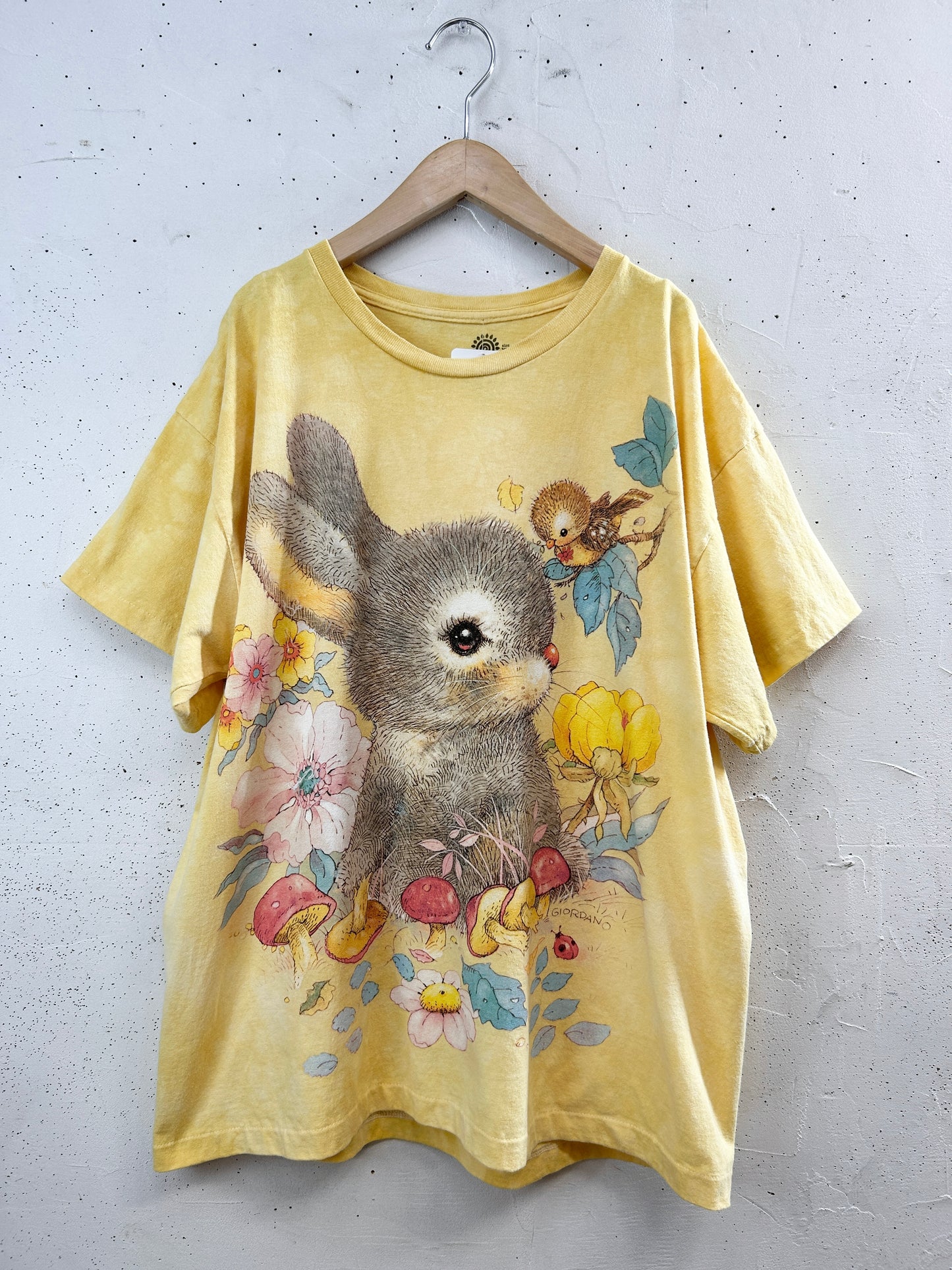 Vintage T-Shirt 〜The Mountain〜 [G32906]