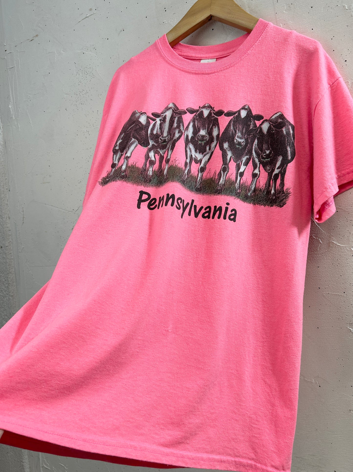 Vintage T-Shirt [H33432]