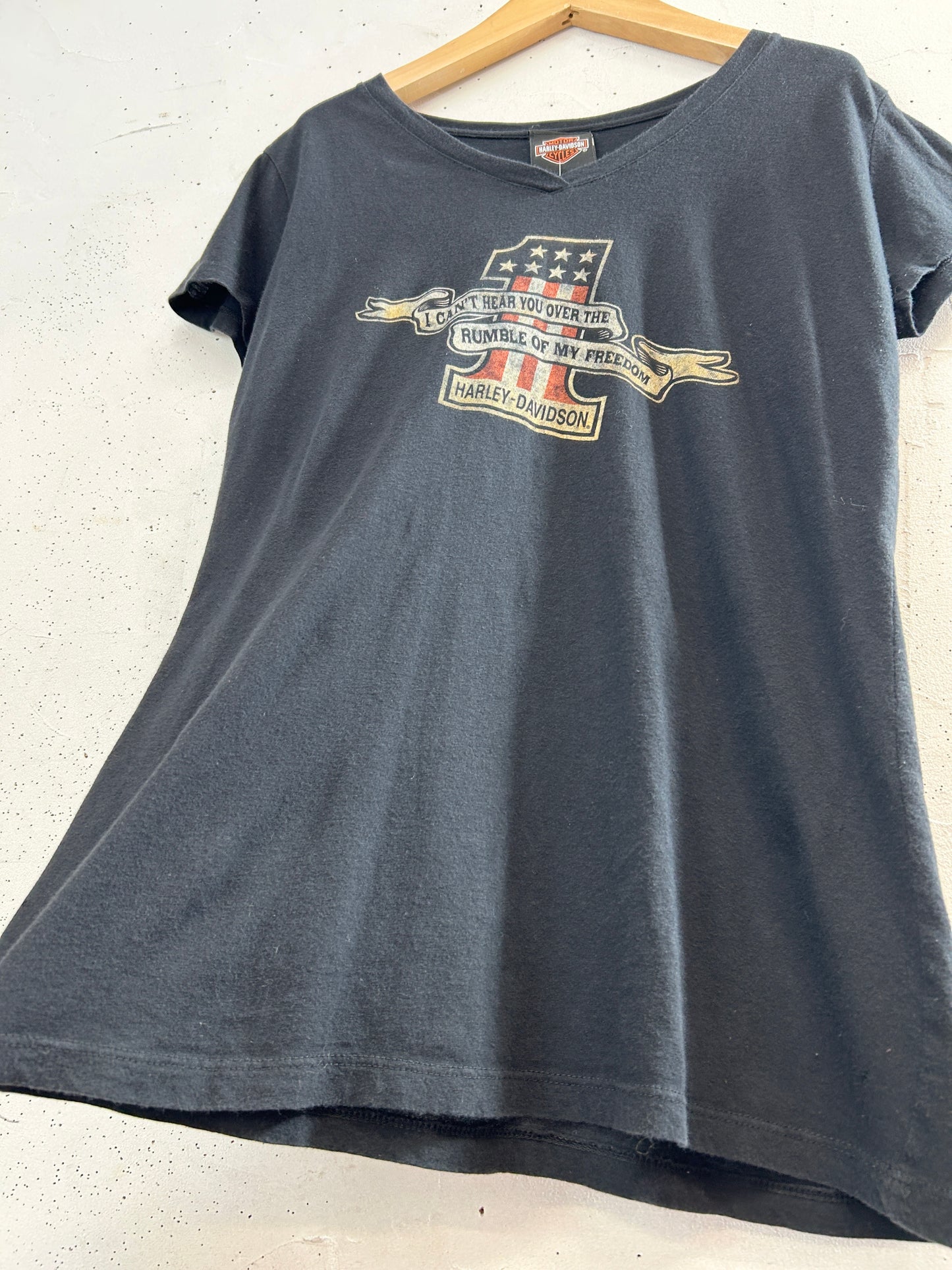 Vintage T-Shirt 〜Harley Davidson〜 [H33520]