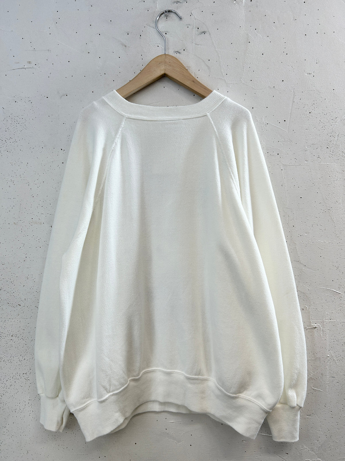 Vintage Sweat 〜MADE IN USA〜 [J34326]