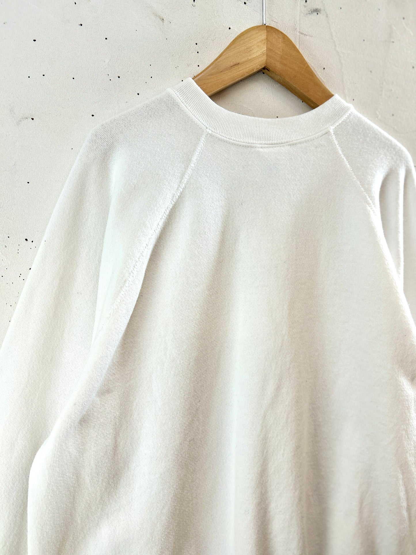 Vintage Hand Painted Sweat 〜Tultex〜 MADE IN USA [K30903]