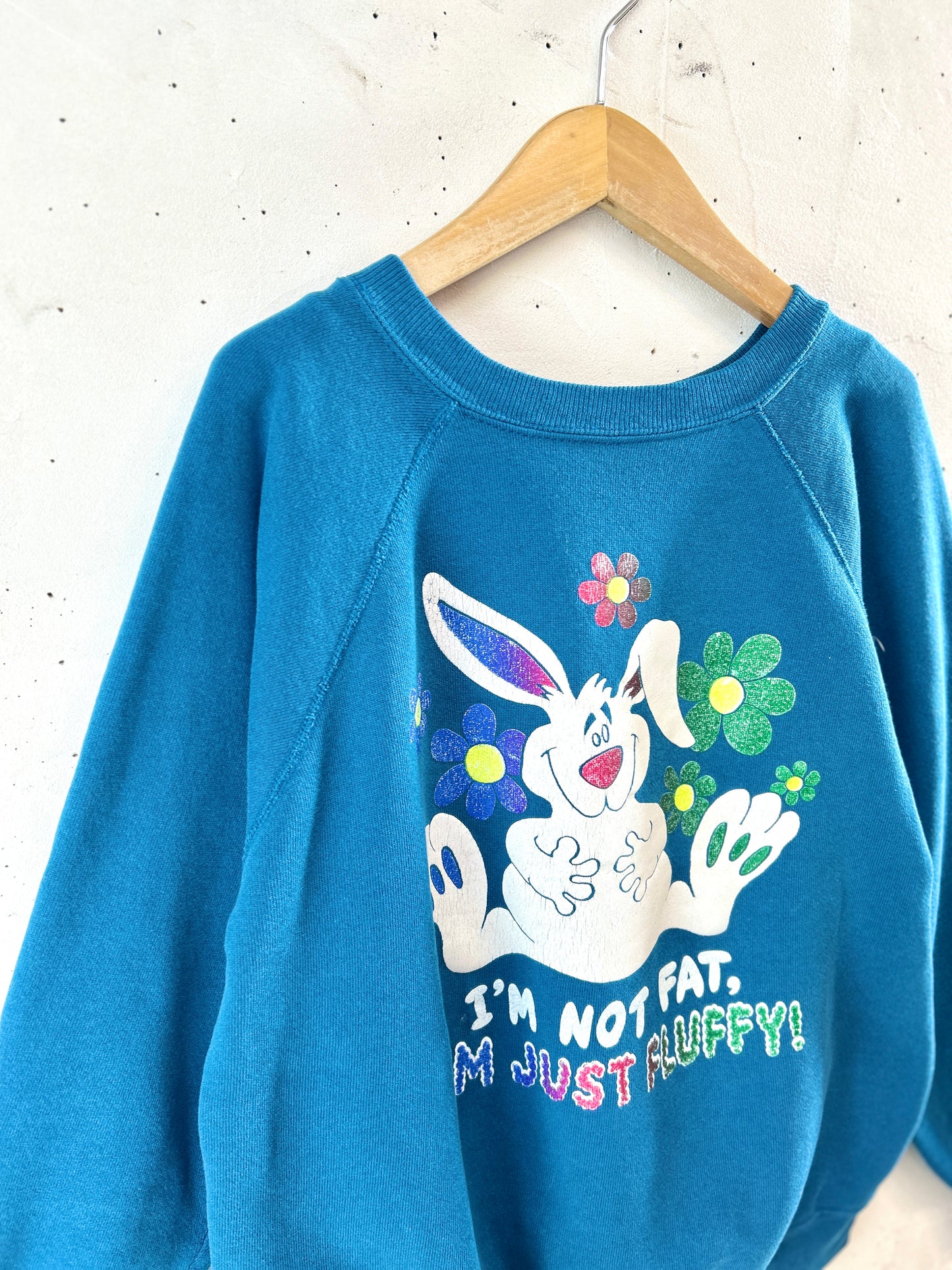 Vintage Sweat MADE IN USA [K30738]