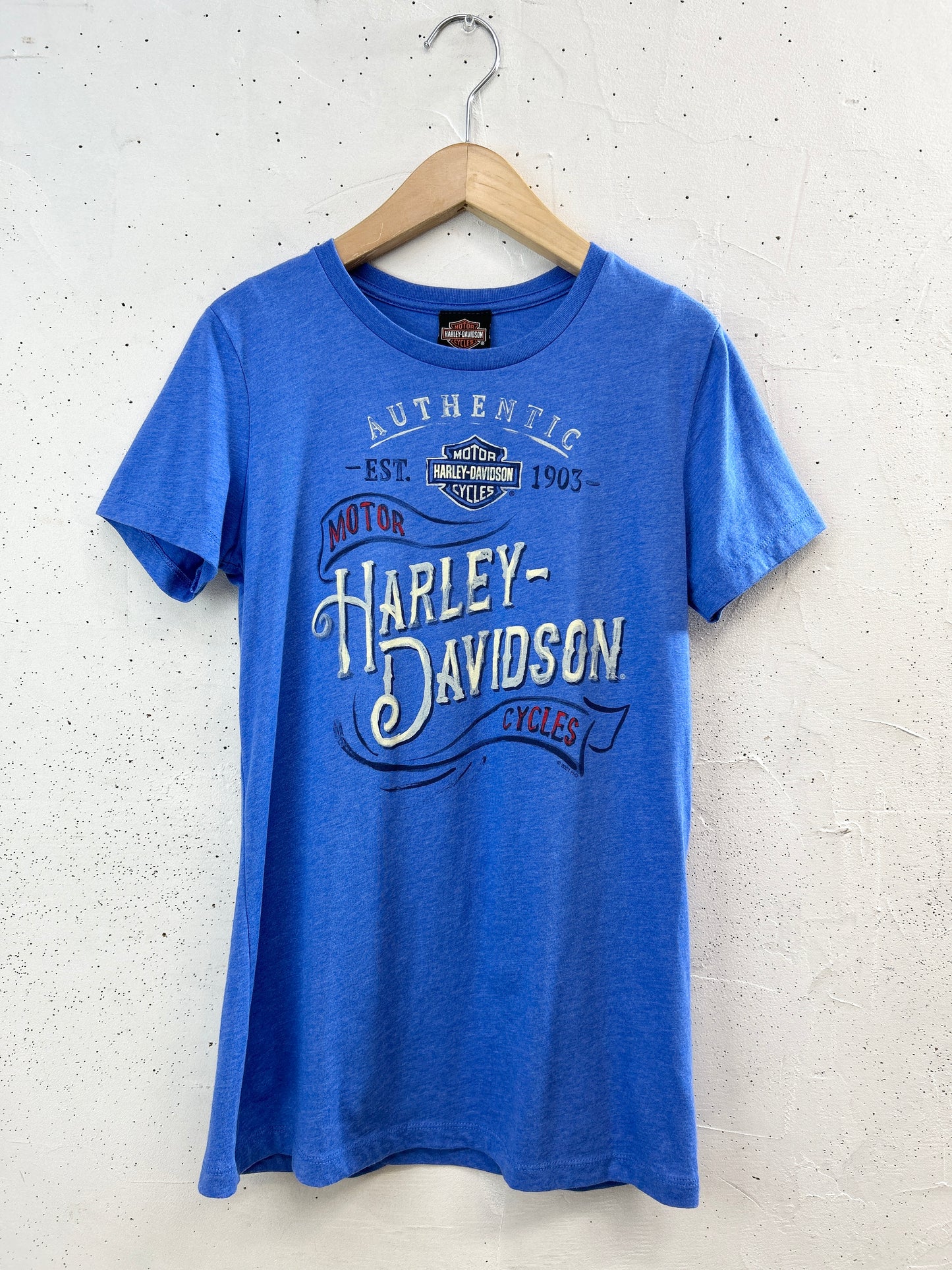 Vintage T-Shirt 〜Harley Davidson〜 [F32589]