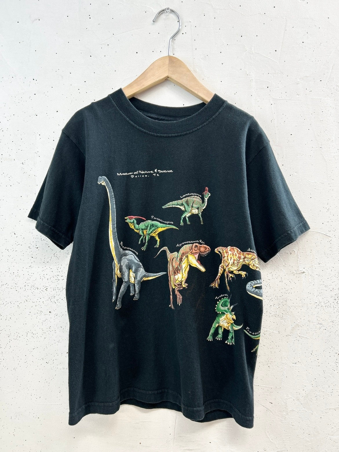 Vintage T-Shirt [D32070]