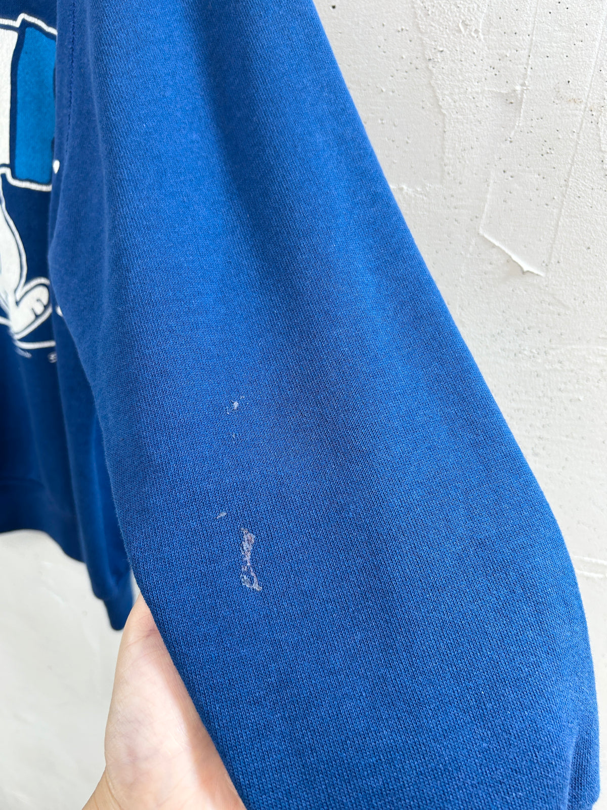 Vintage Sweat 〜MADE IN USA〜 [I33931]